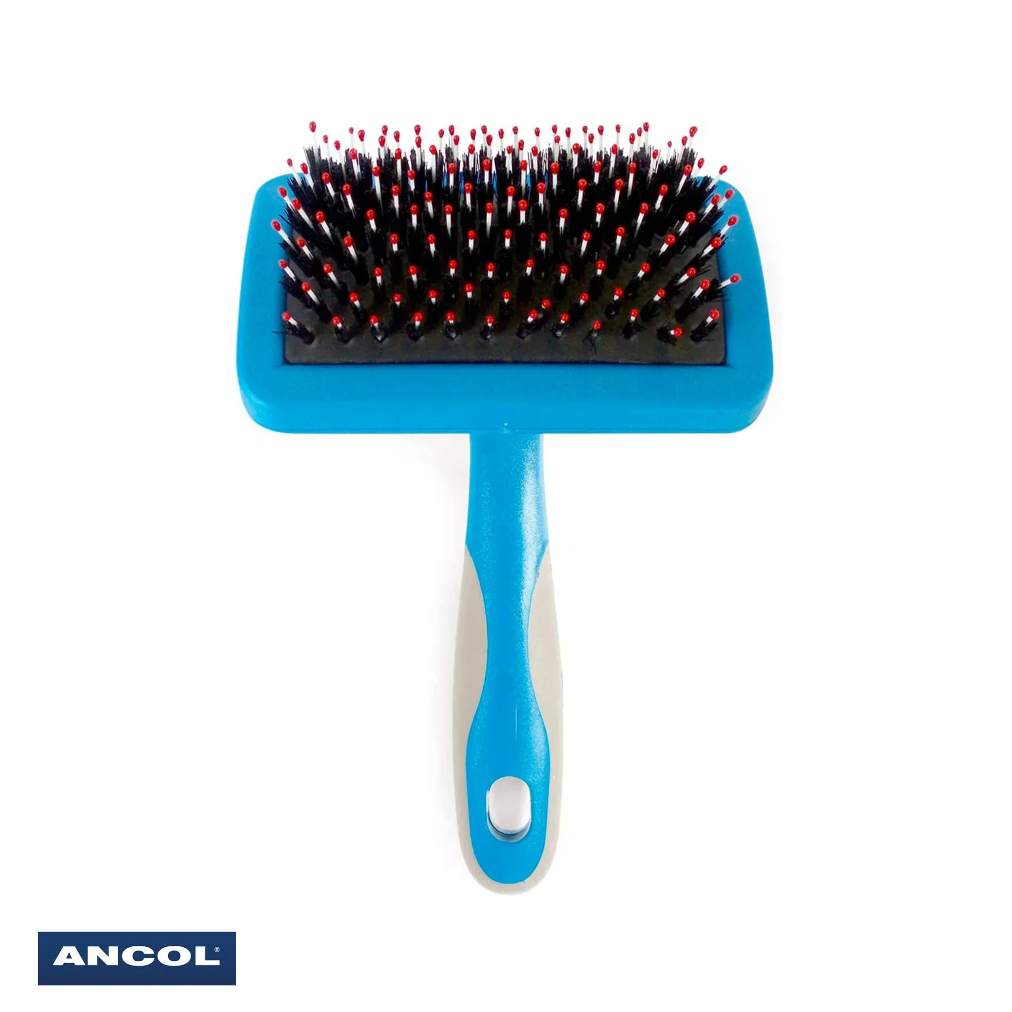 Ancol Ergo Hedgehog Slicker Brush