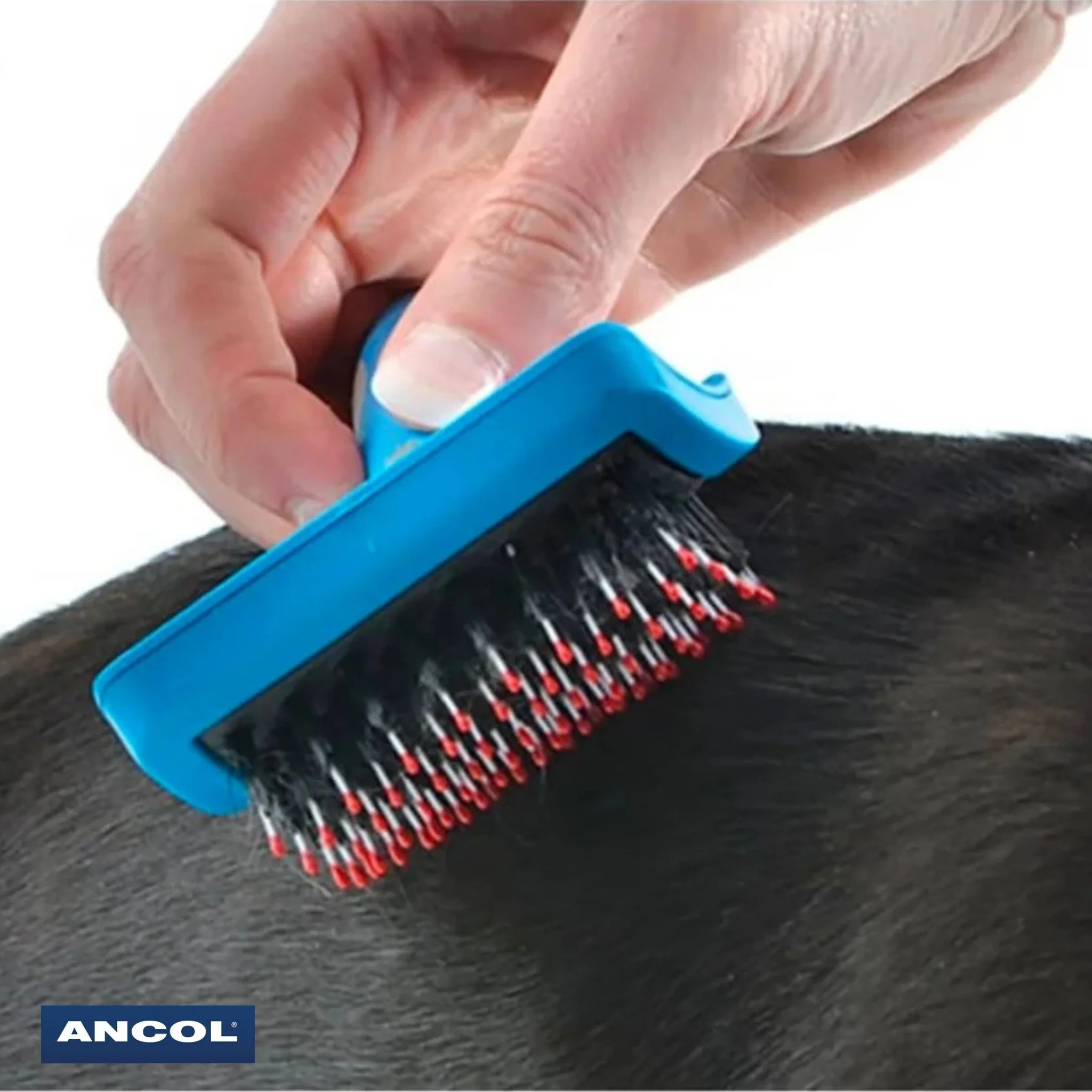 Ancol Ergo Hedgehog Slicker Brush - Image 2