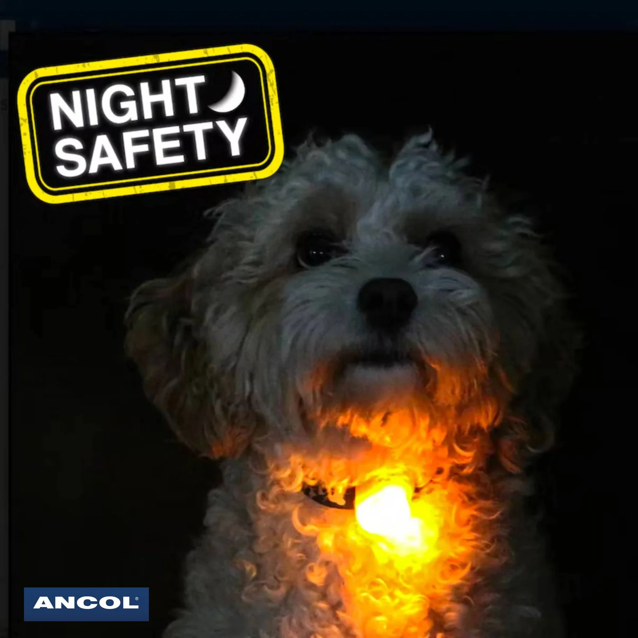 Ancol Soft Blinker Night Safety Light - Image 3