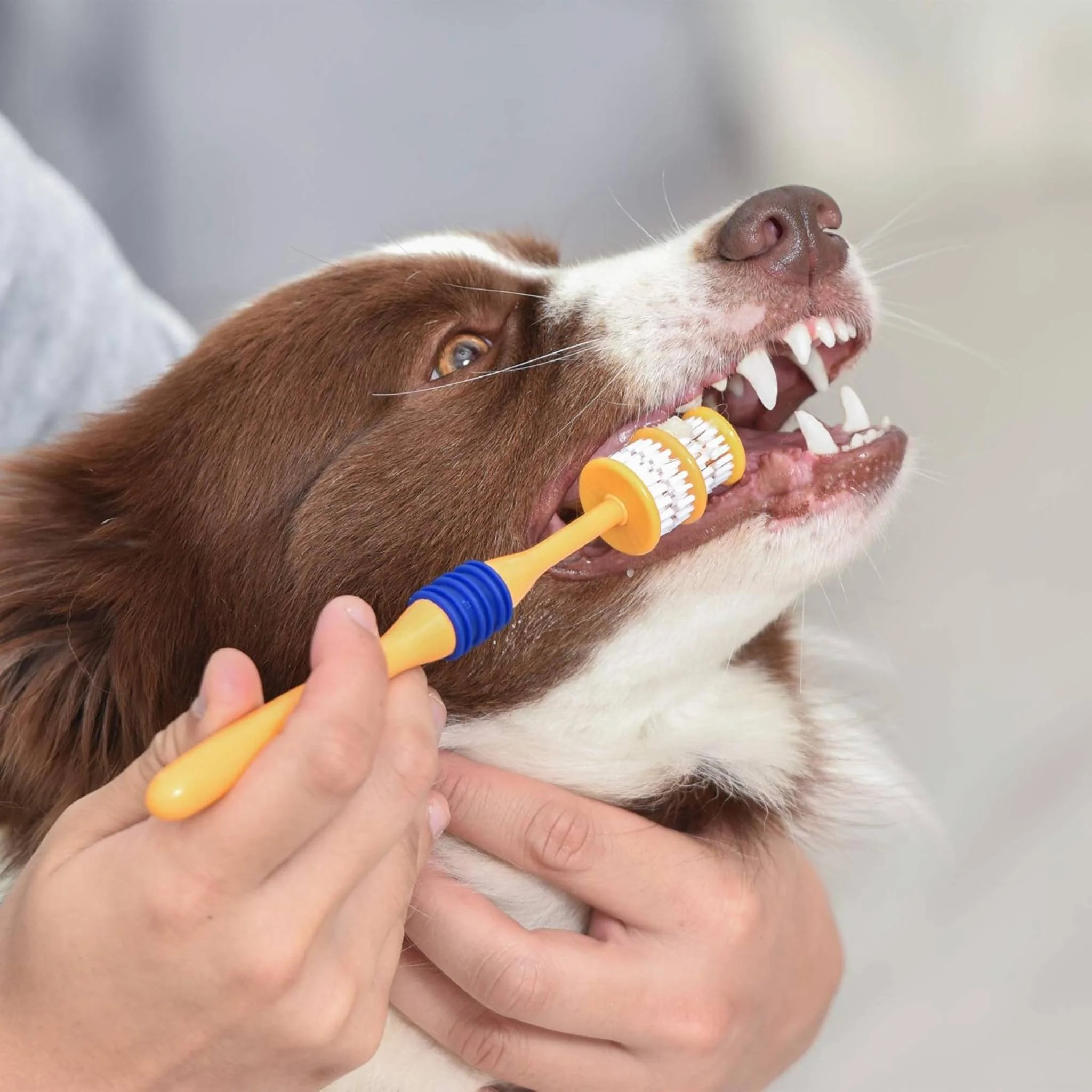 Arm & Hammer 360° Toothbrush - Image 6
