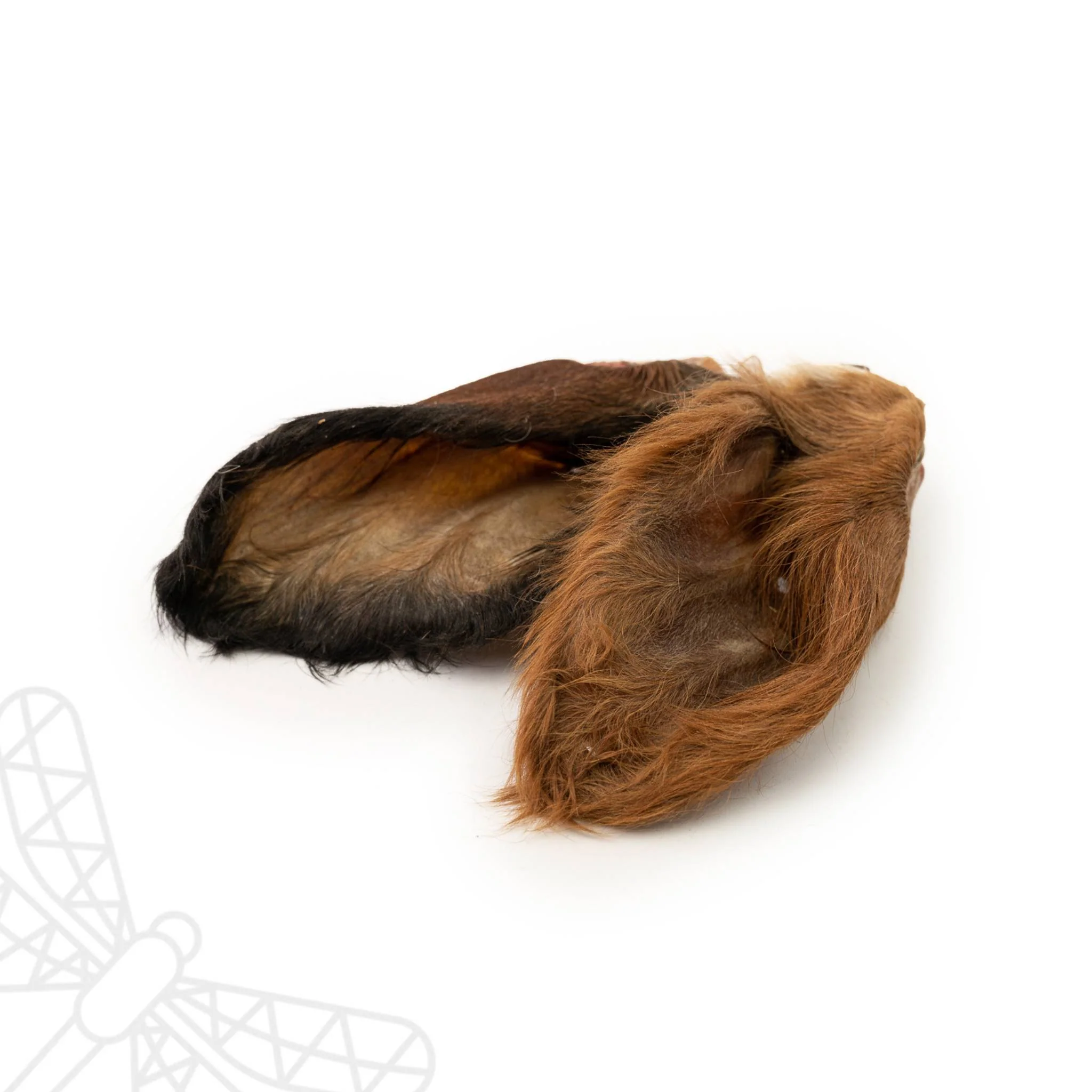 Buffalo Ears with fur - Image 2