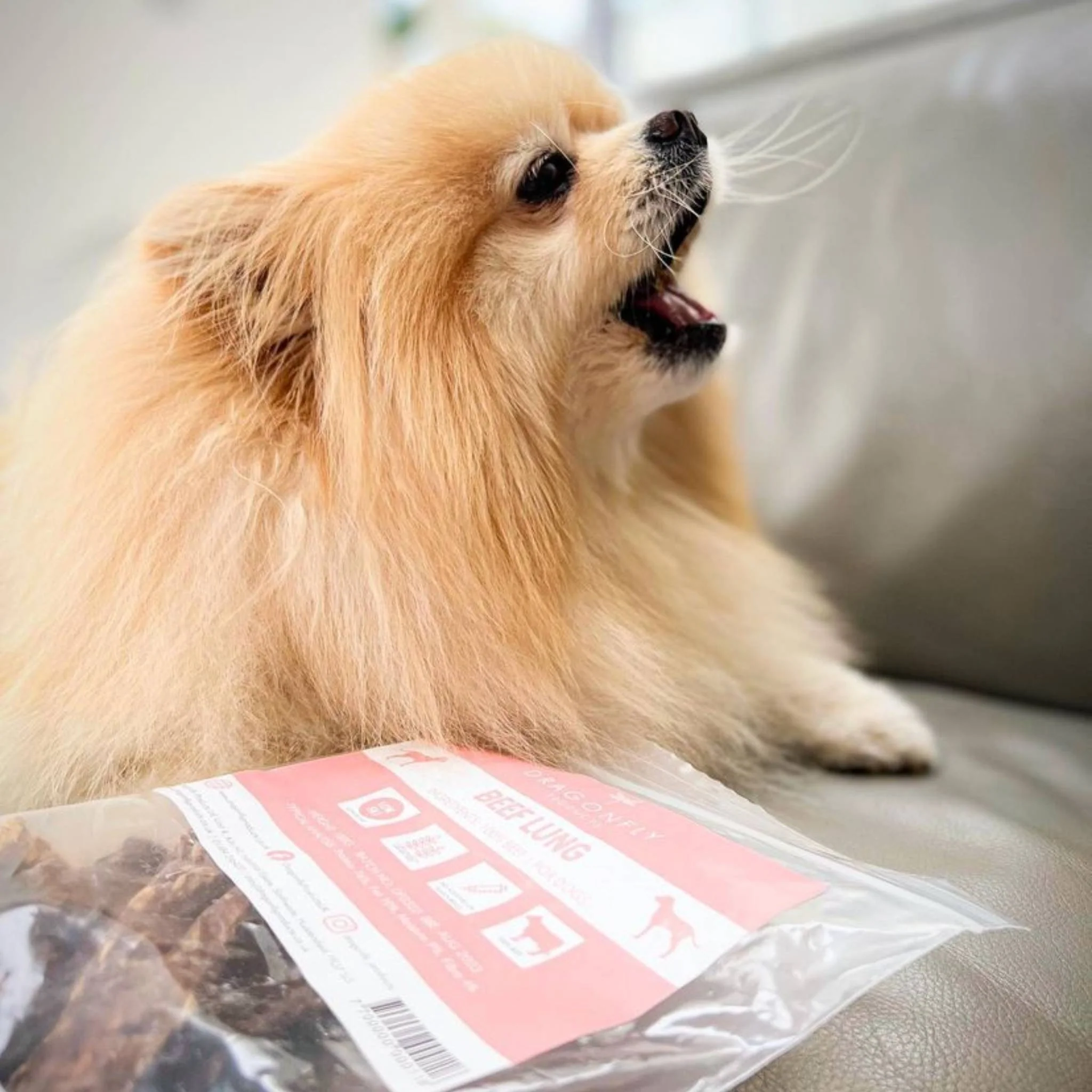 Beef Lung - Image 6