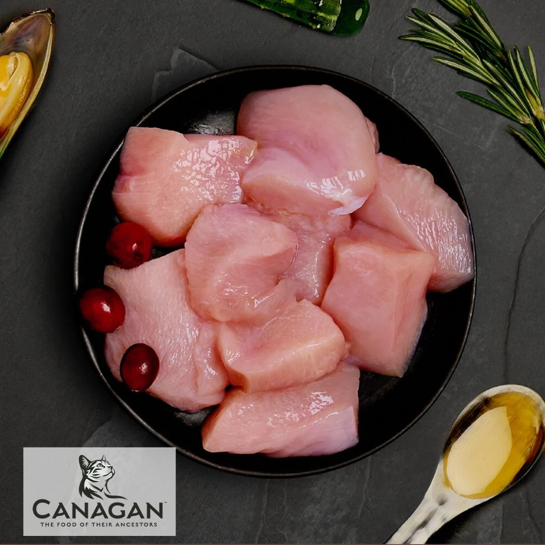 Canagan Free Run Chicken for Kittens - Image 2