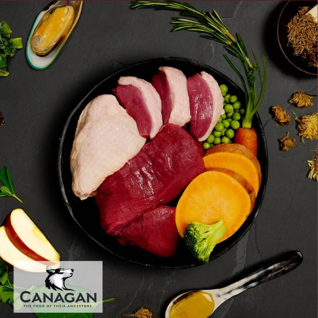 Canagan Country Game - Image 3