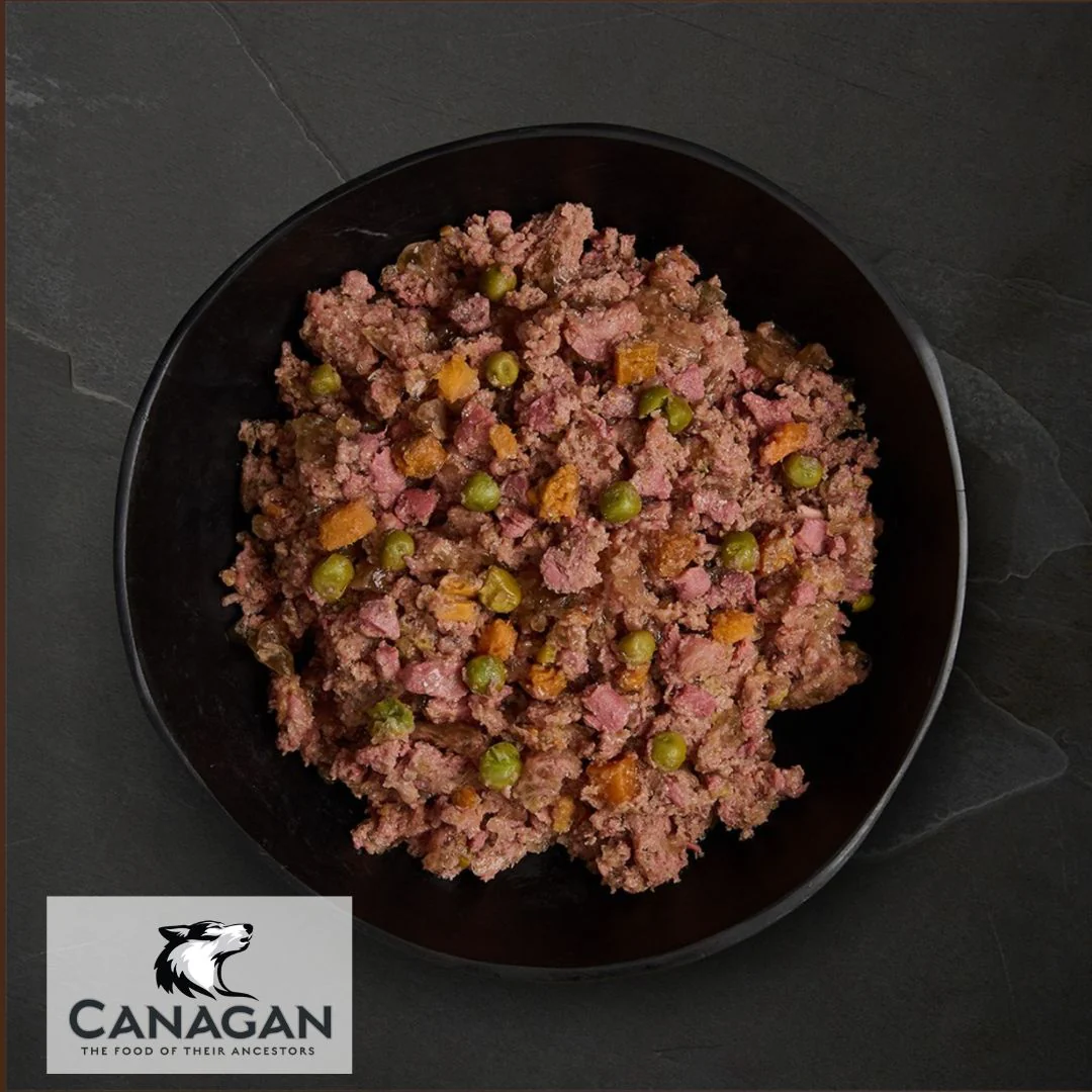 Canagan Free Range Chicken - Image 2