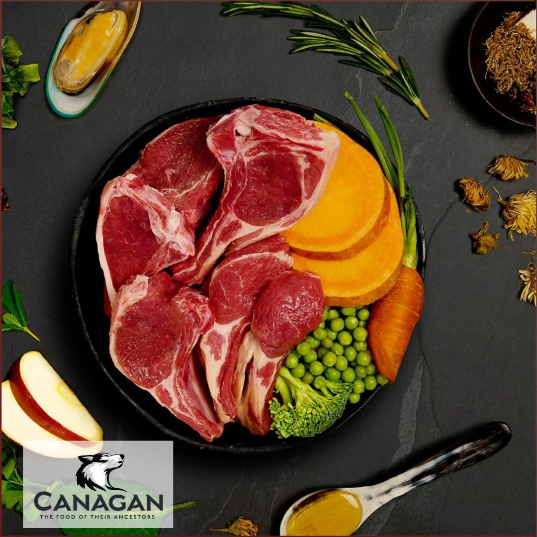 Canagan Lamb Casserole - Image 3