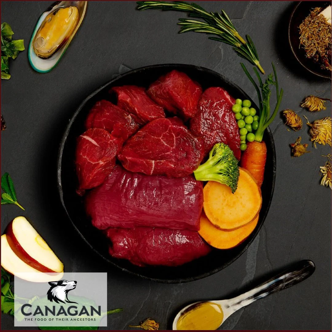 Canagan Venison & Wild Boar Stew - Image 3