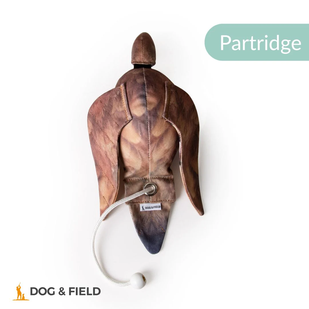 Dog & Field The Original Clone®️ Dead Bird Dummy - Image 10