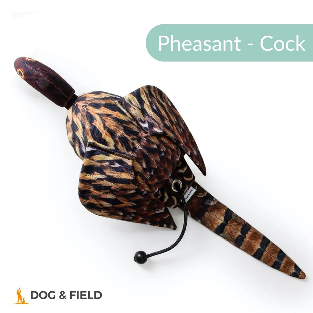 Dog & Field The Original Clone®️ Dead Bird Dummy - Image 3