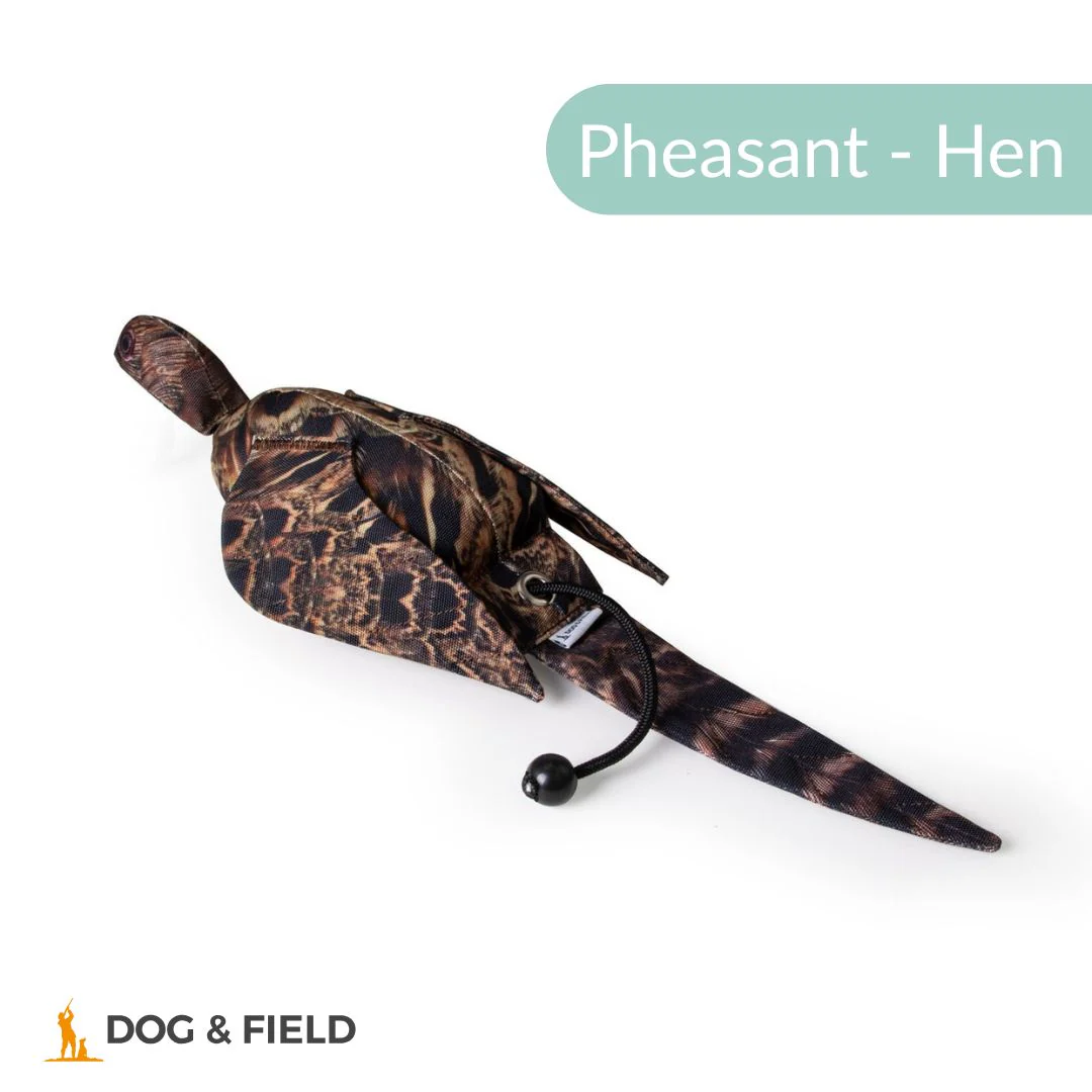 Dog & Field The Original Clone®️ Dead Bird Dummy - Image 4
