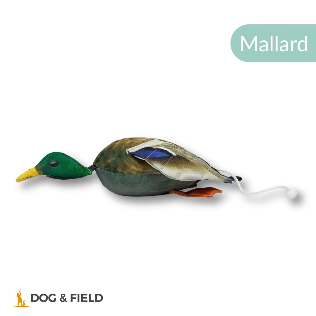 Dog & Field The Original Clone®️ Dead Bird Dummy - Image 7