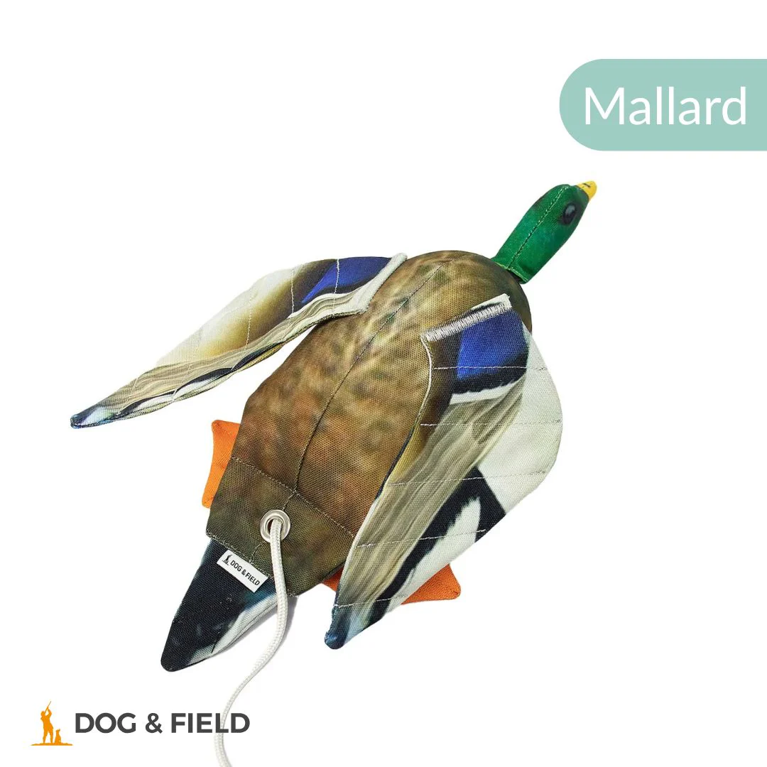 Dog & Field The Original Clone®️ Dead Bird Dummy - Image 9