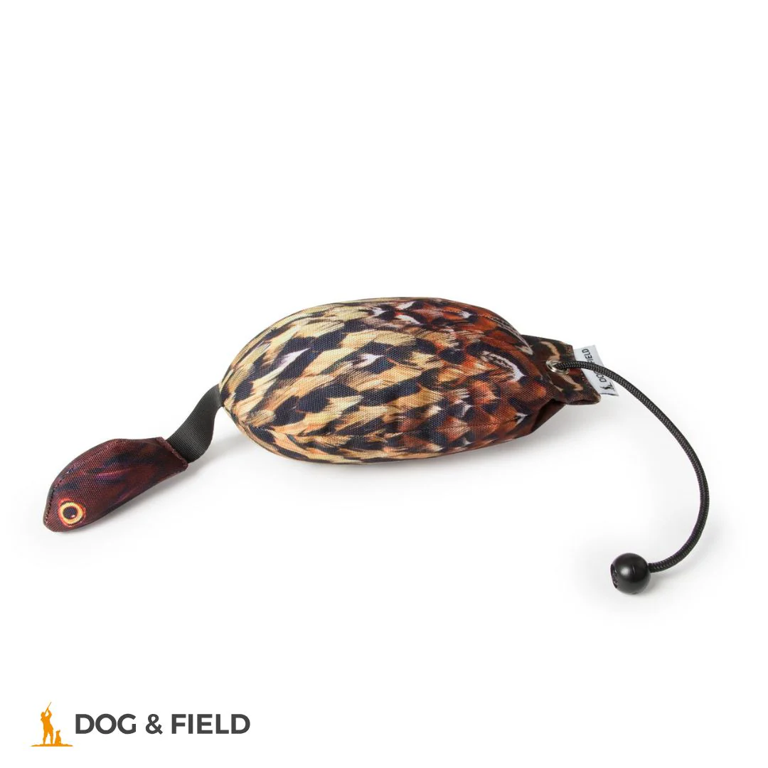 Dog & Field The Original Clone®️ Pheasant Bird Dummy - Image 3