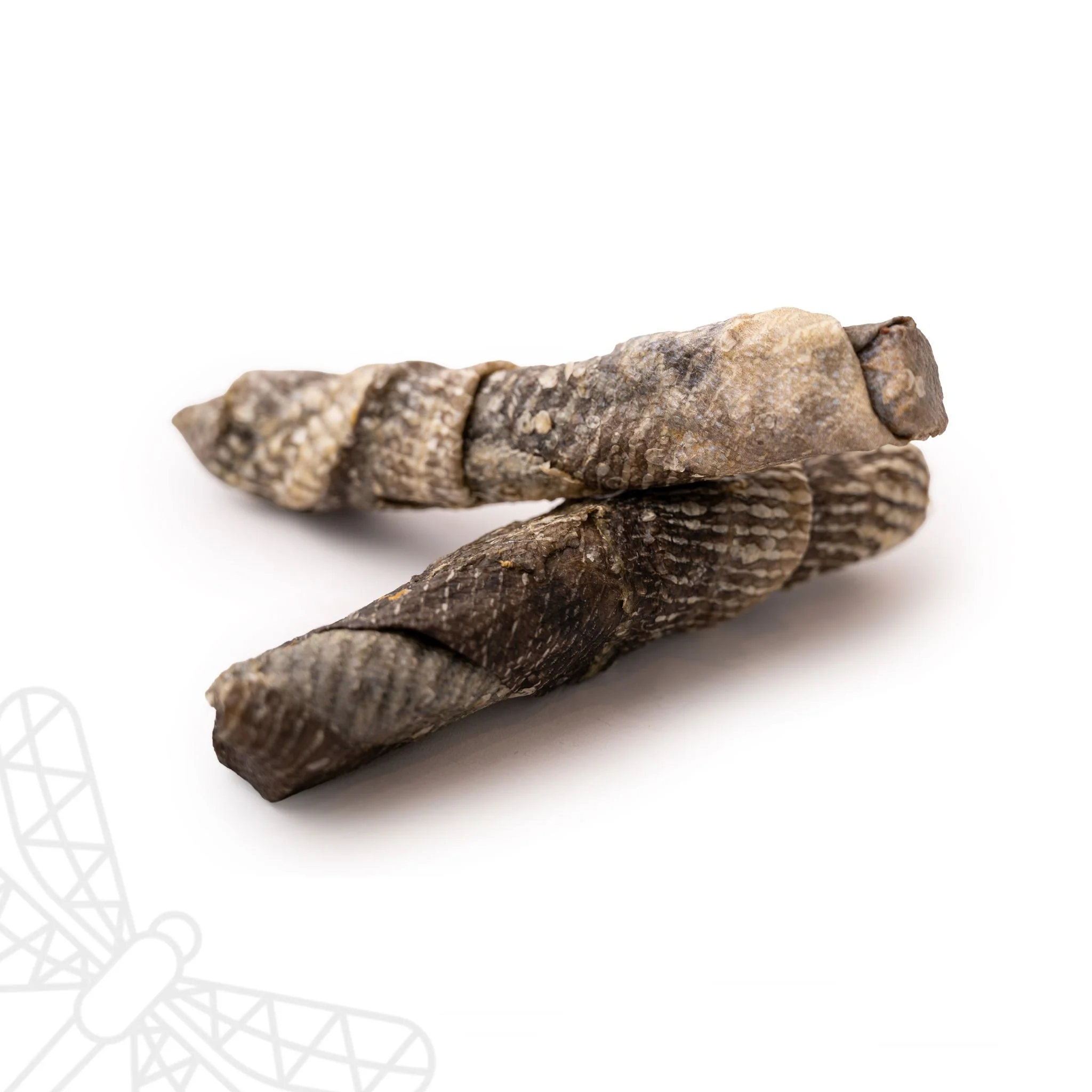 Fish Skin Throw Sticks - Image 3