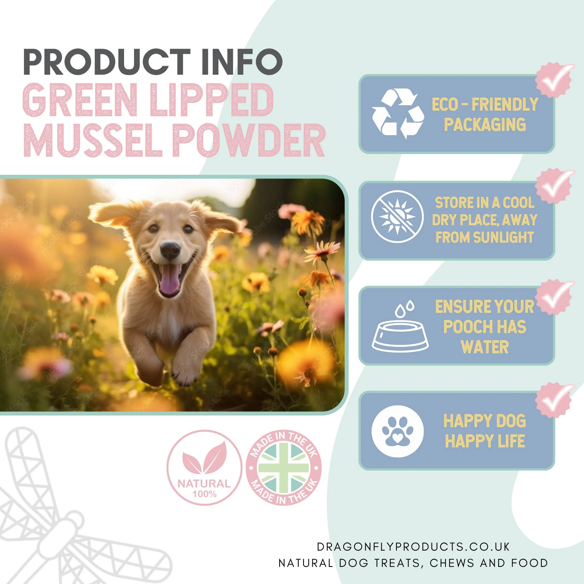 Green Lipped Mussel Powder for Dogs - Image 5