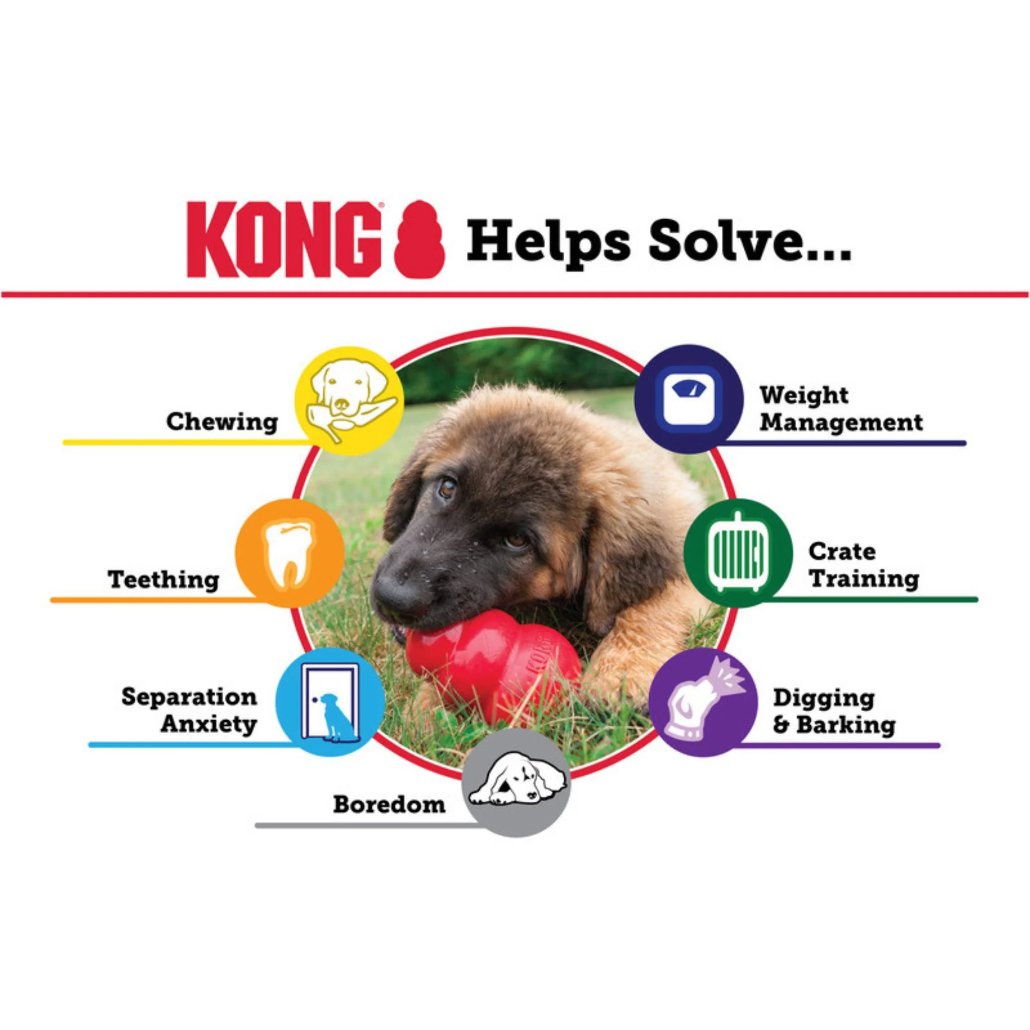 KONG Classic - Image 3