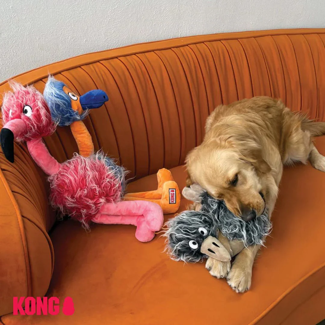 KONG Comfort Jumbo Bird - Image 4