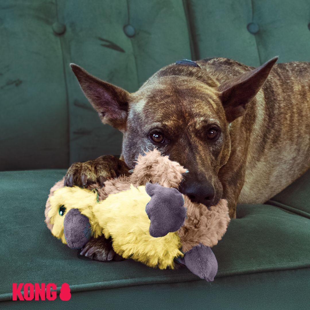 KONG Comfort Tykes Farm Animals - Image 10