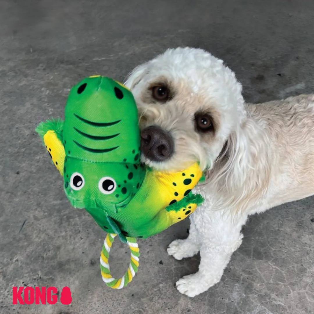 KONG Cozie Tuggz - Image 7