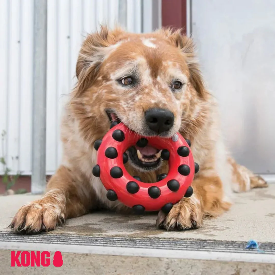 KONG Dotz Circle - Image 5
