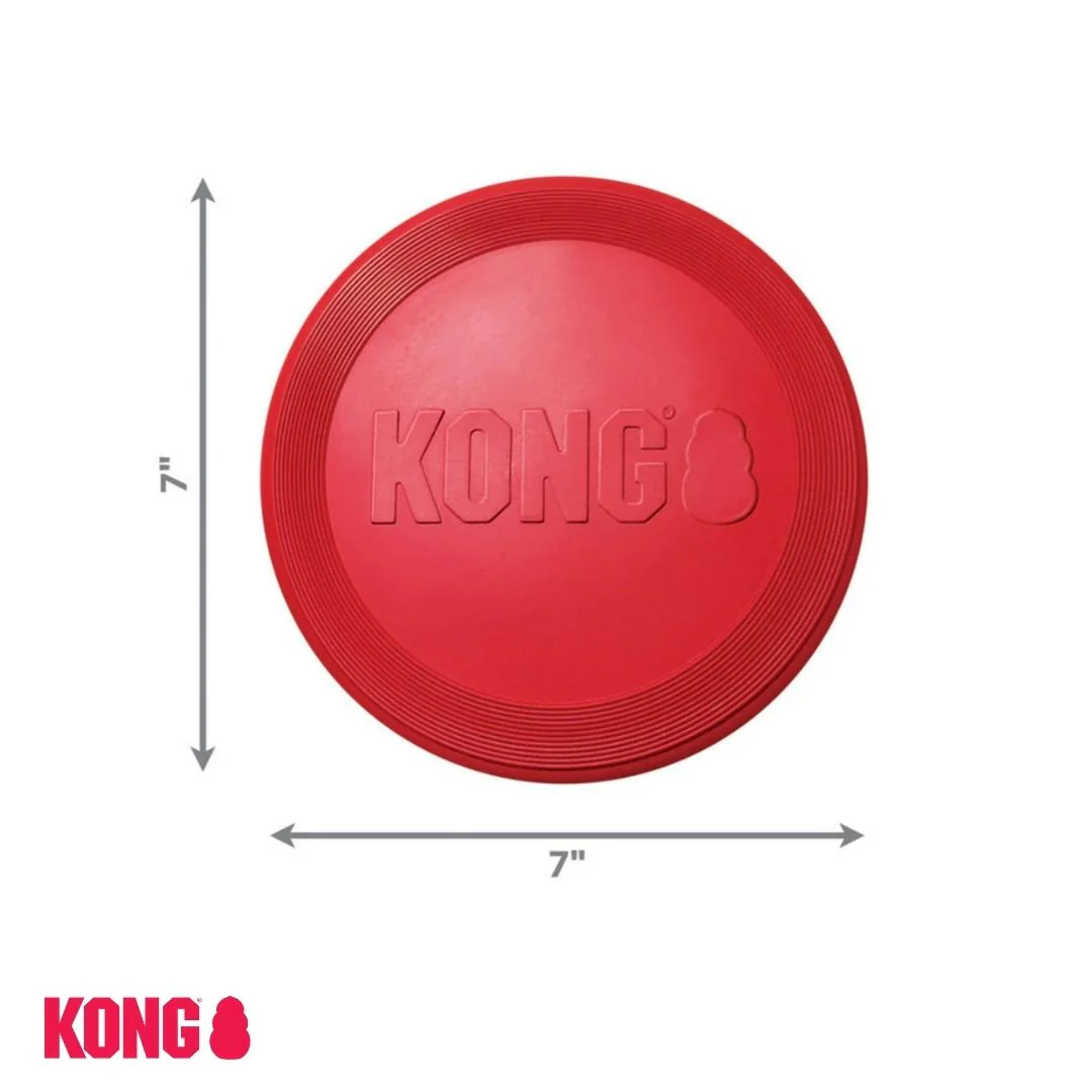 KONG Flyer - Image 2