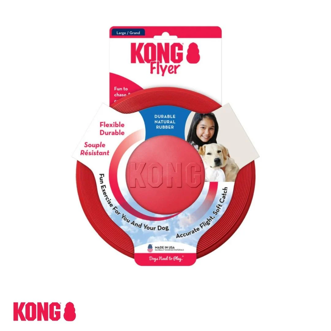 KONG Flyer - Image 3