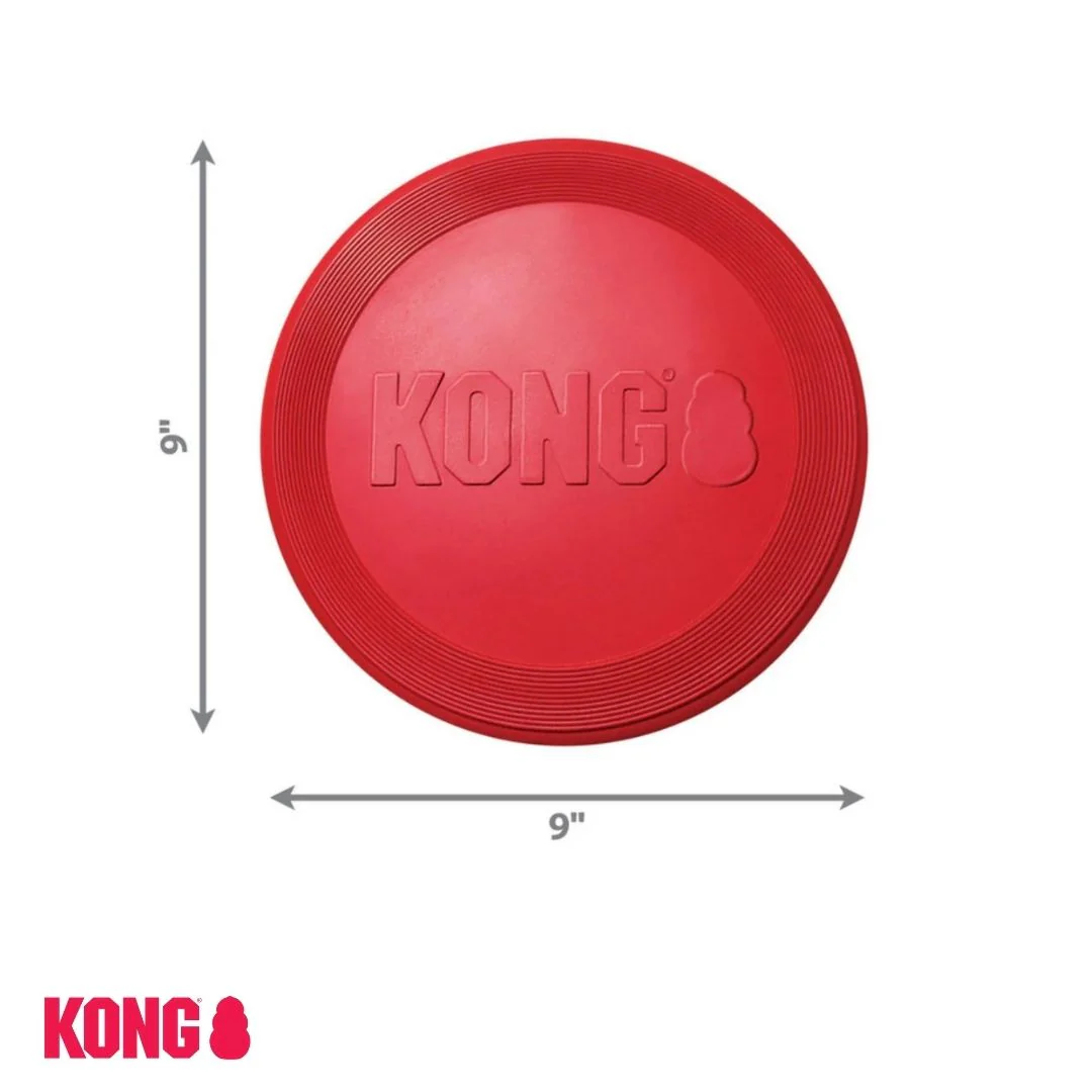 KONG Flyer - Image 4