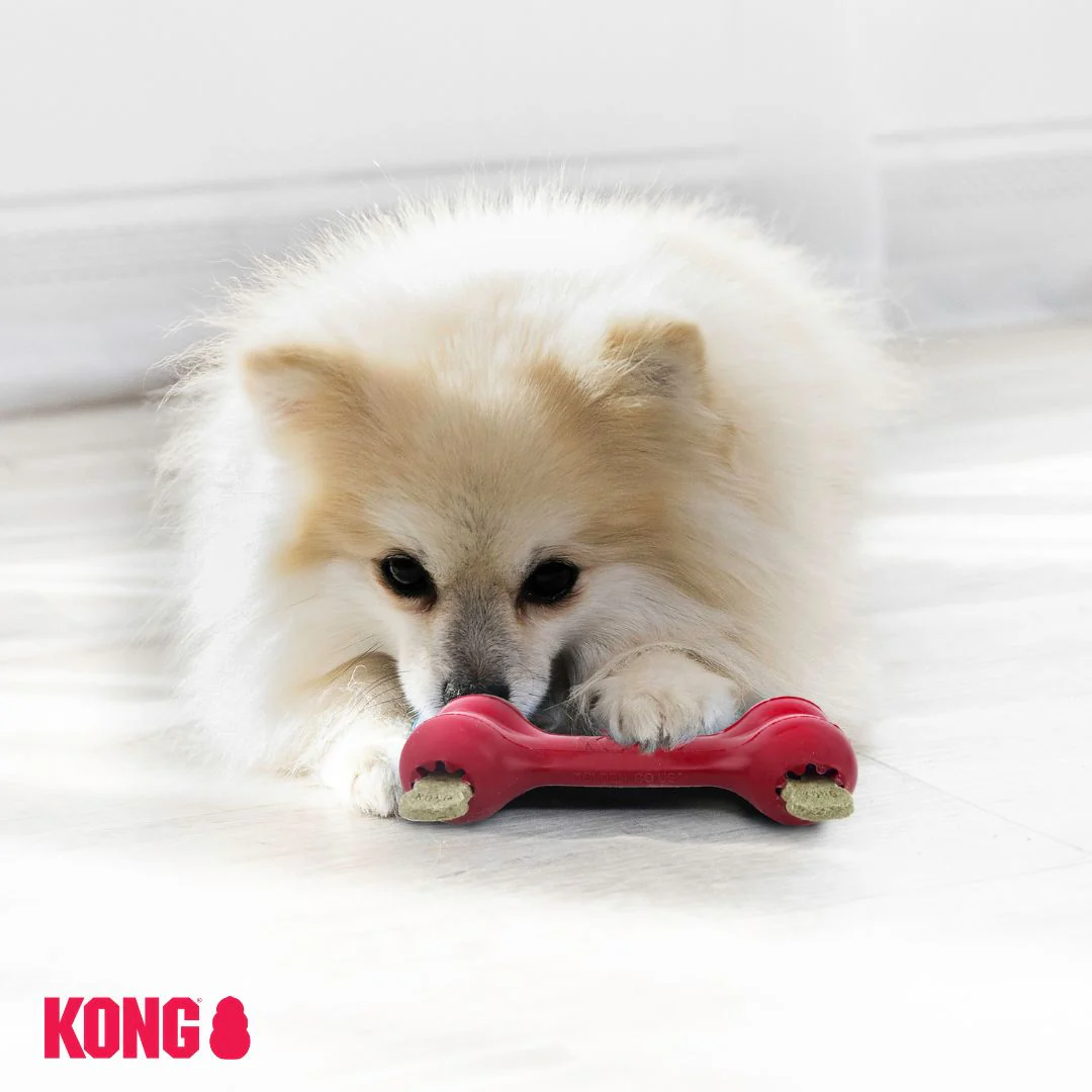 KONG Goodie Bone - Image 5