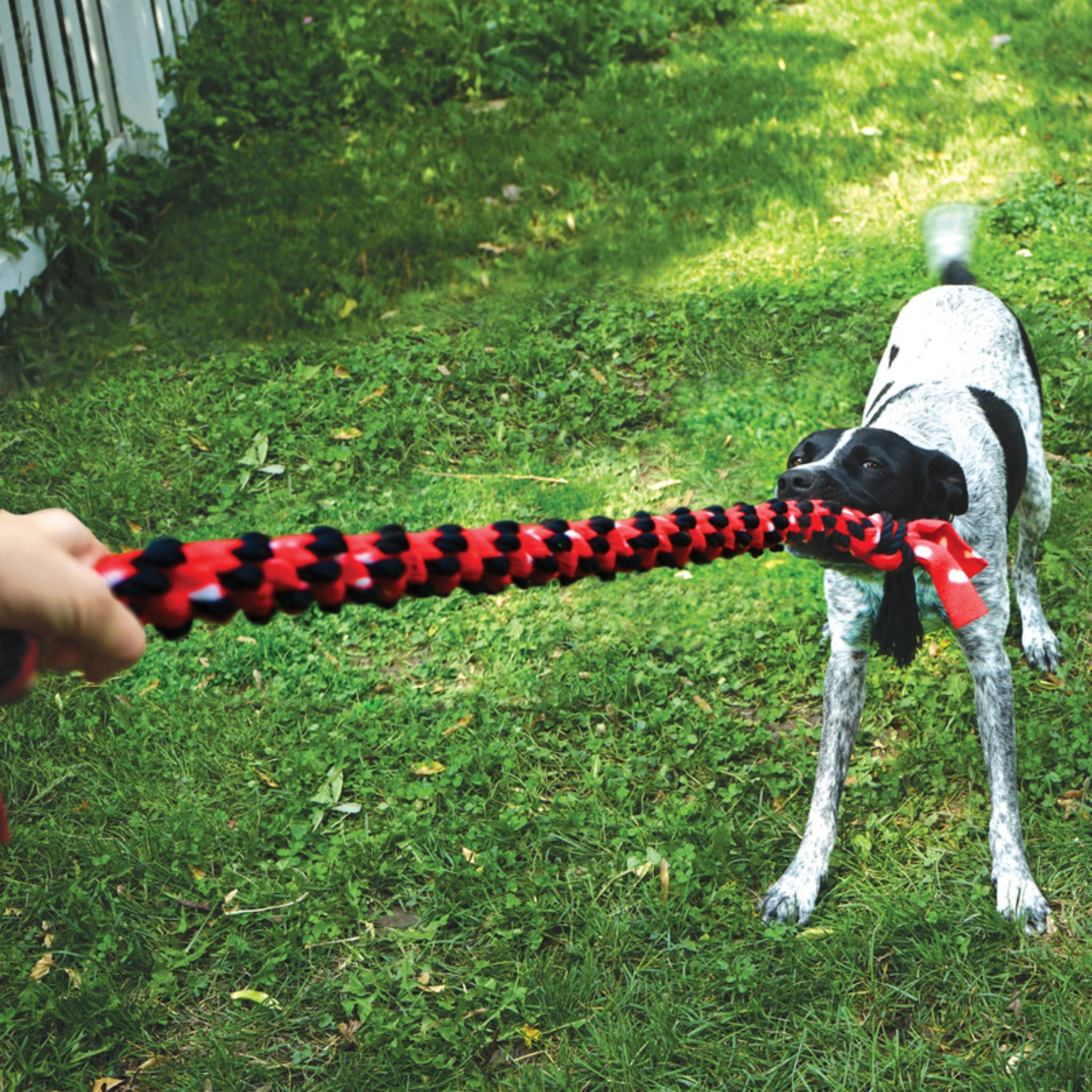 KONG Signature Rope - Image 3
