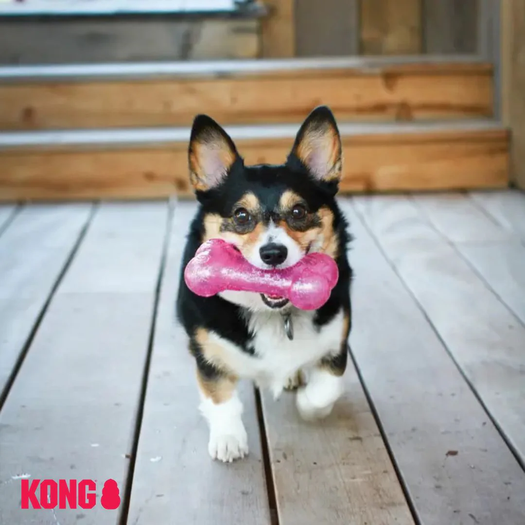 KONG Squeez Crackle Bone - Image 4