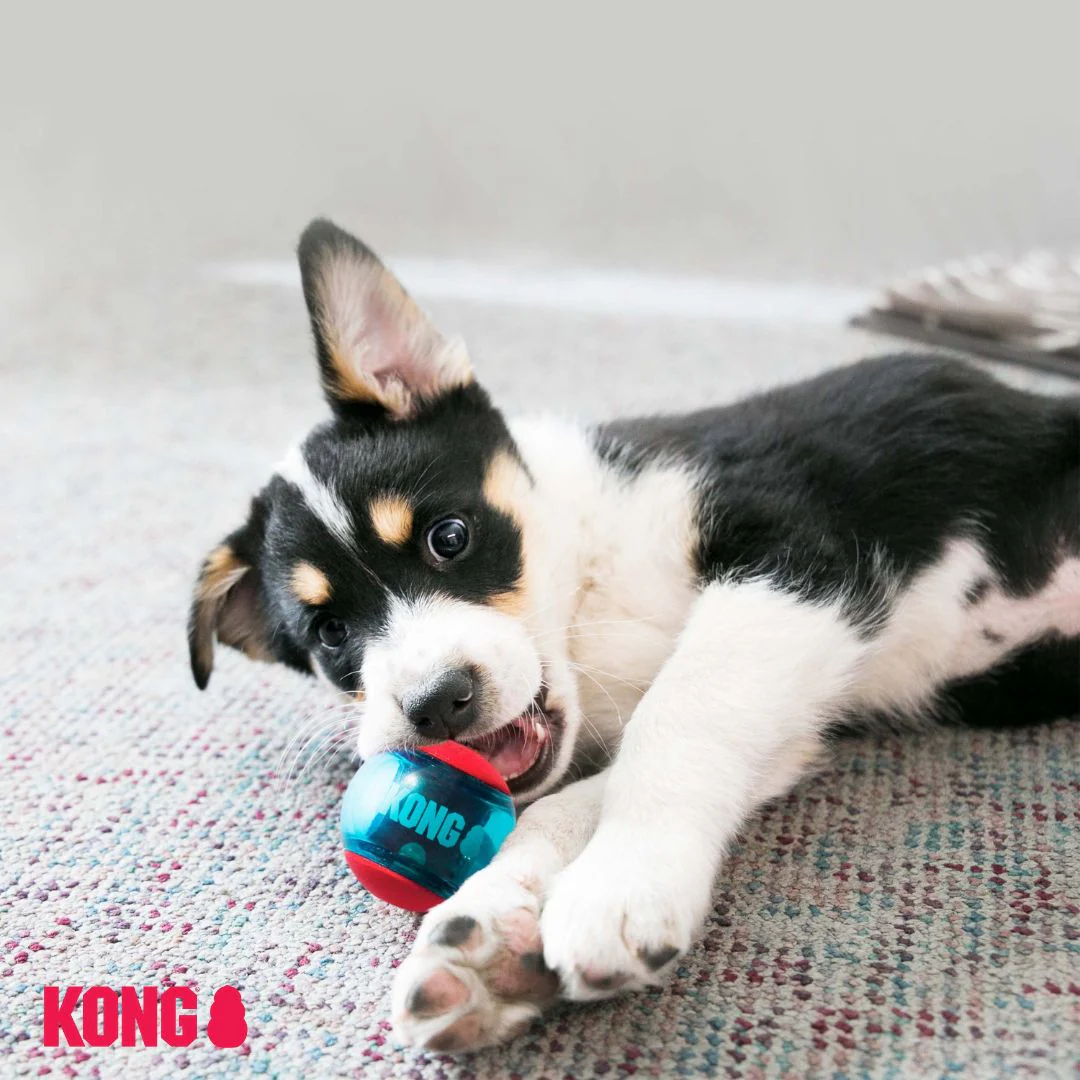 KONG Squeezz Action Ball - Image 7