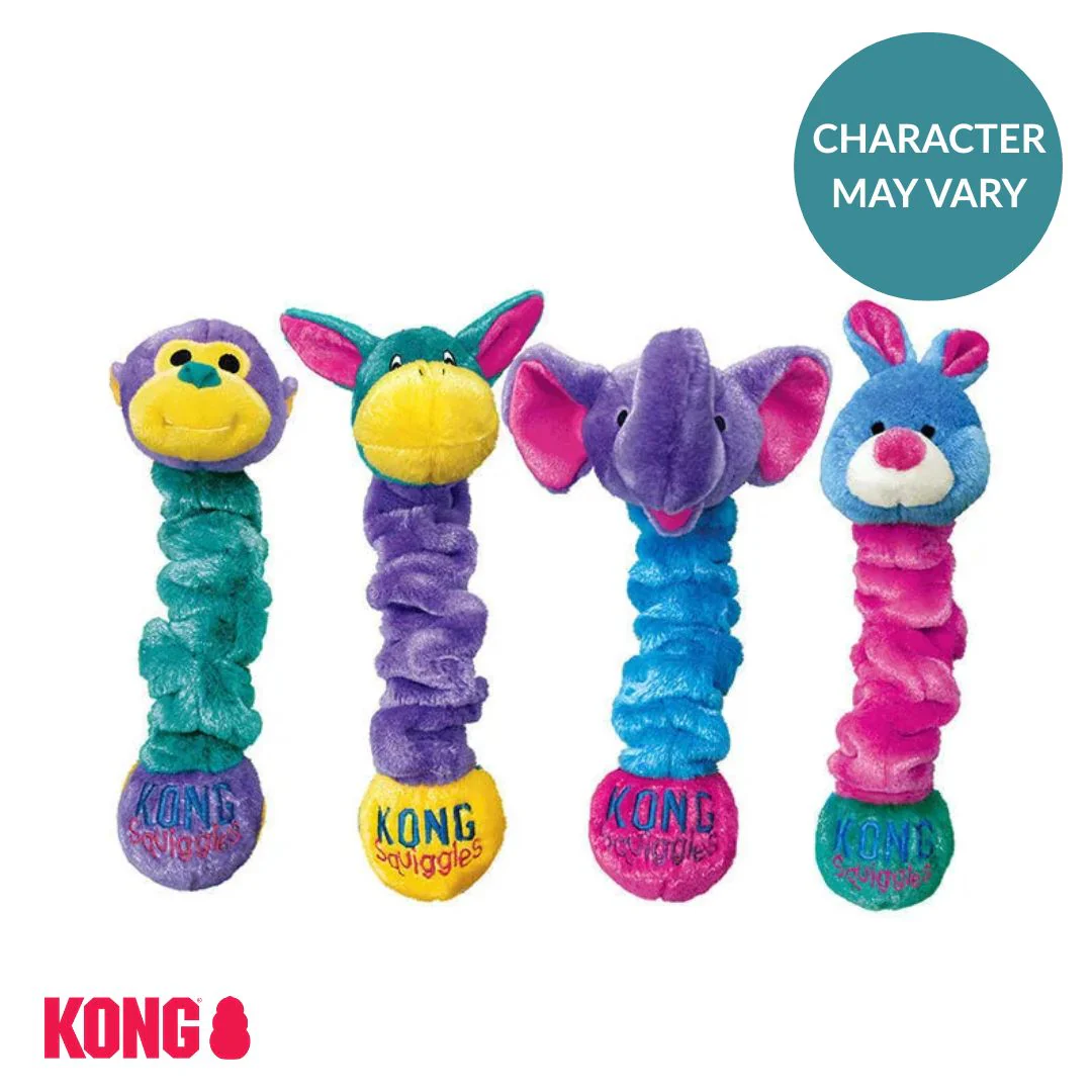 KONG Squiggles