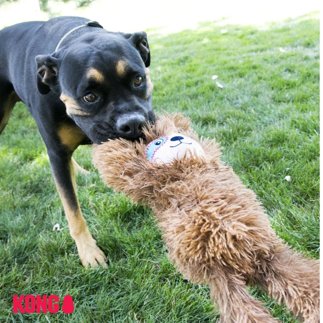 KONG Tuggz Sloth - Image 4