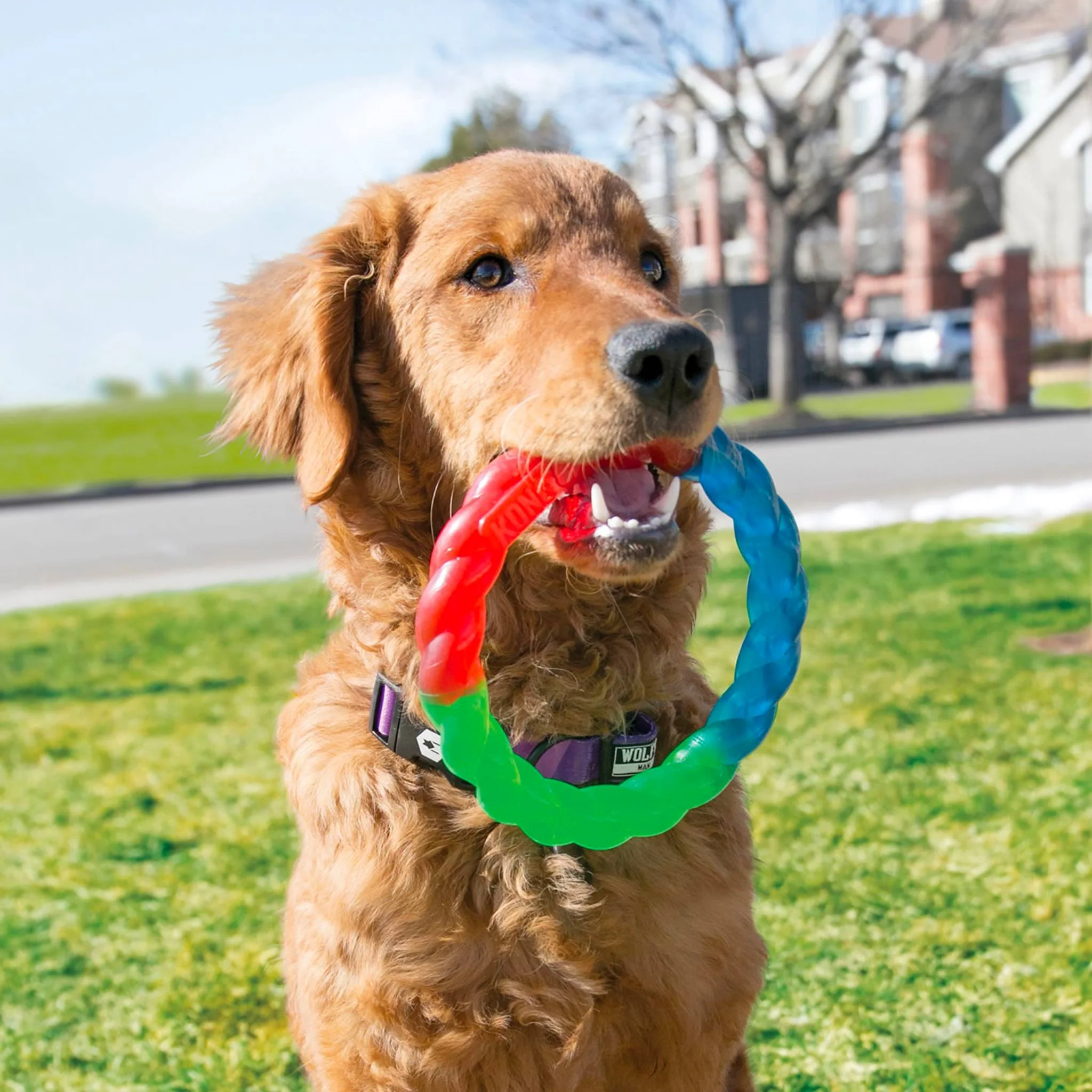 KONG Twistz Ring - Image 2