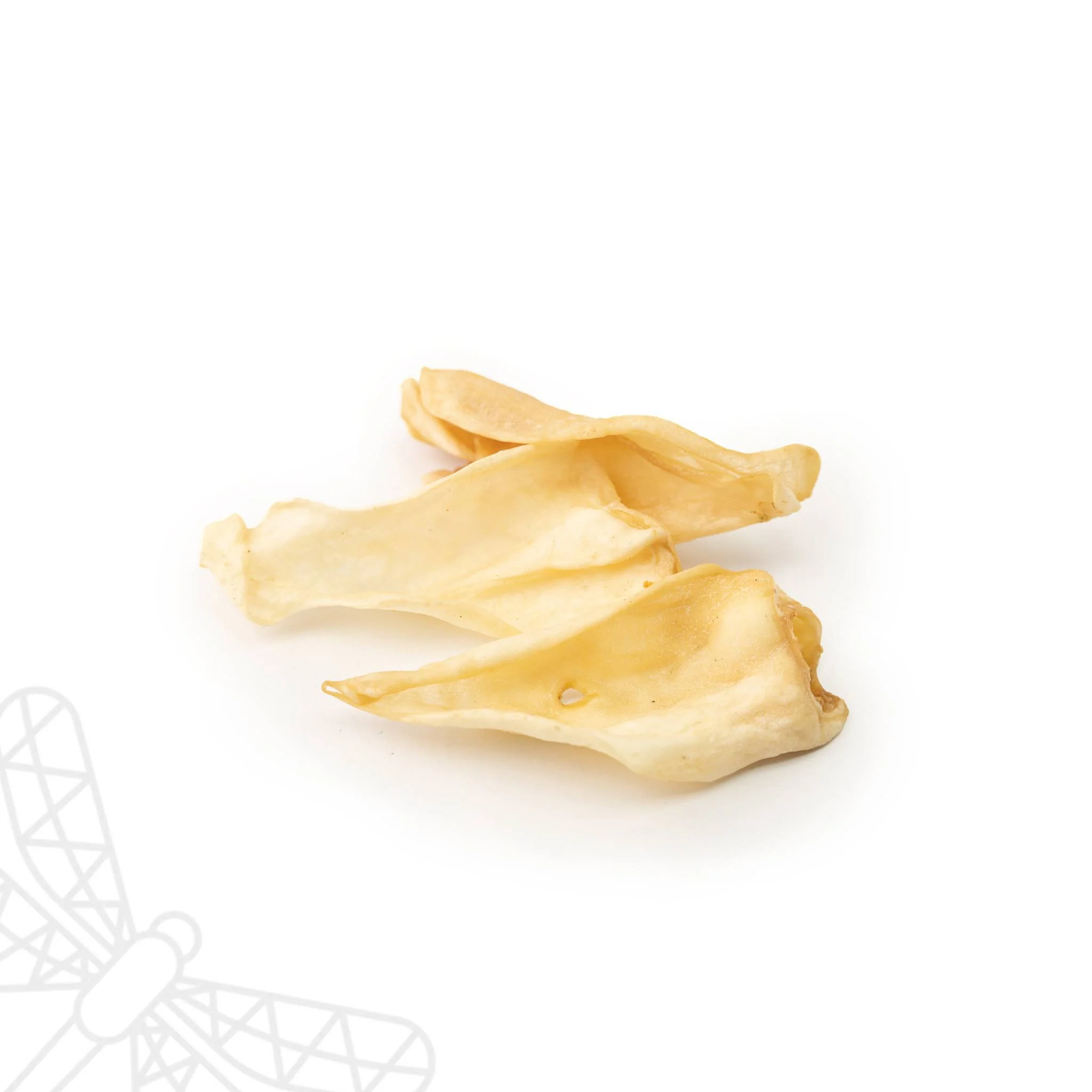 Lamb Ears - Image 2