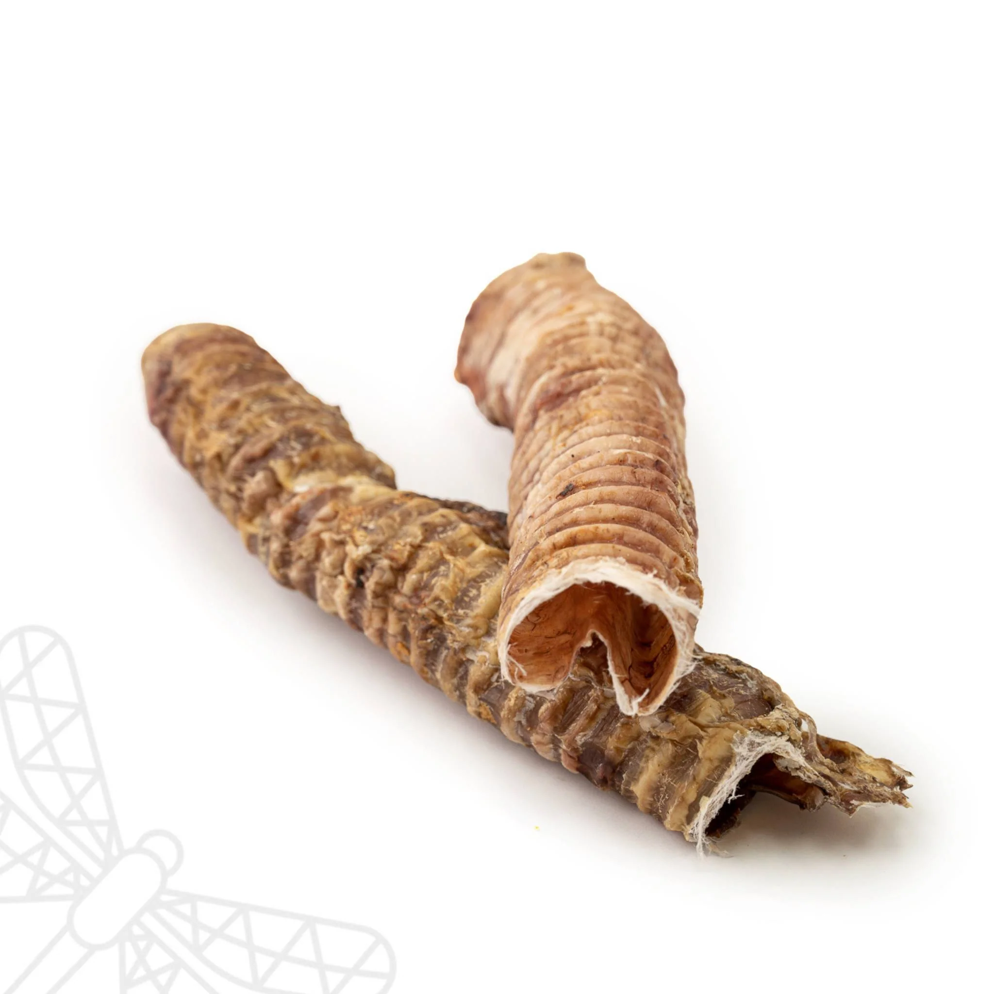 Beef Trachea - Image 2