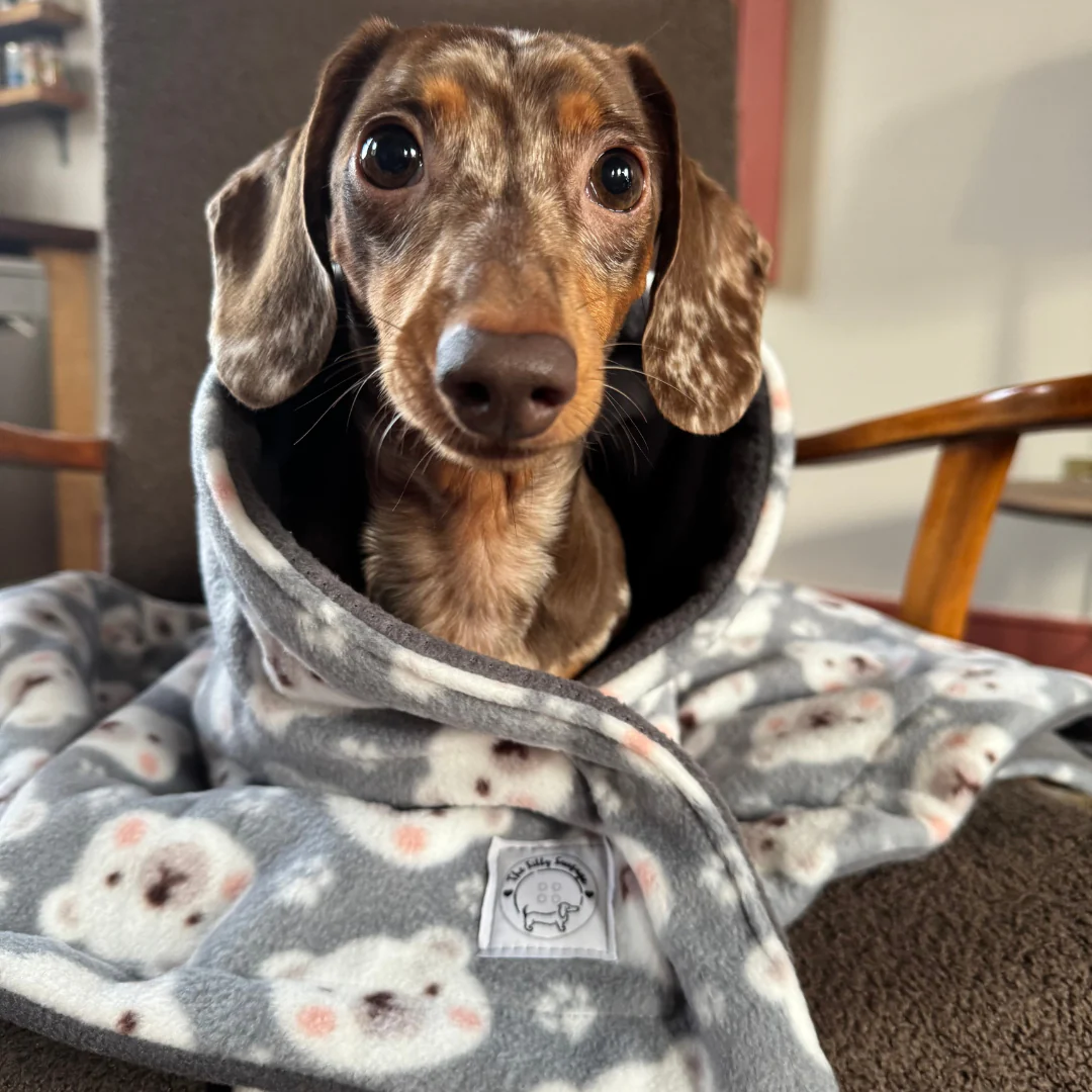 Luxury Reversible Polar Fleece Blanket - Image 2