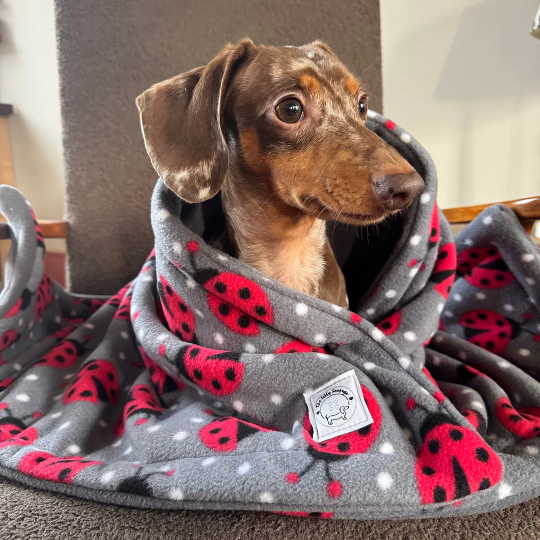 Luxury Reversible Polar Fleece Blanket - Image 4