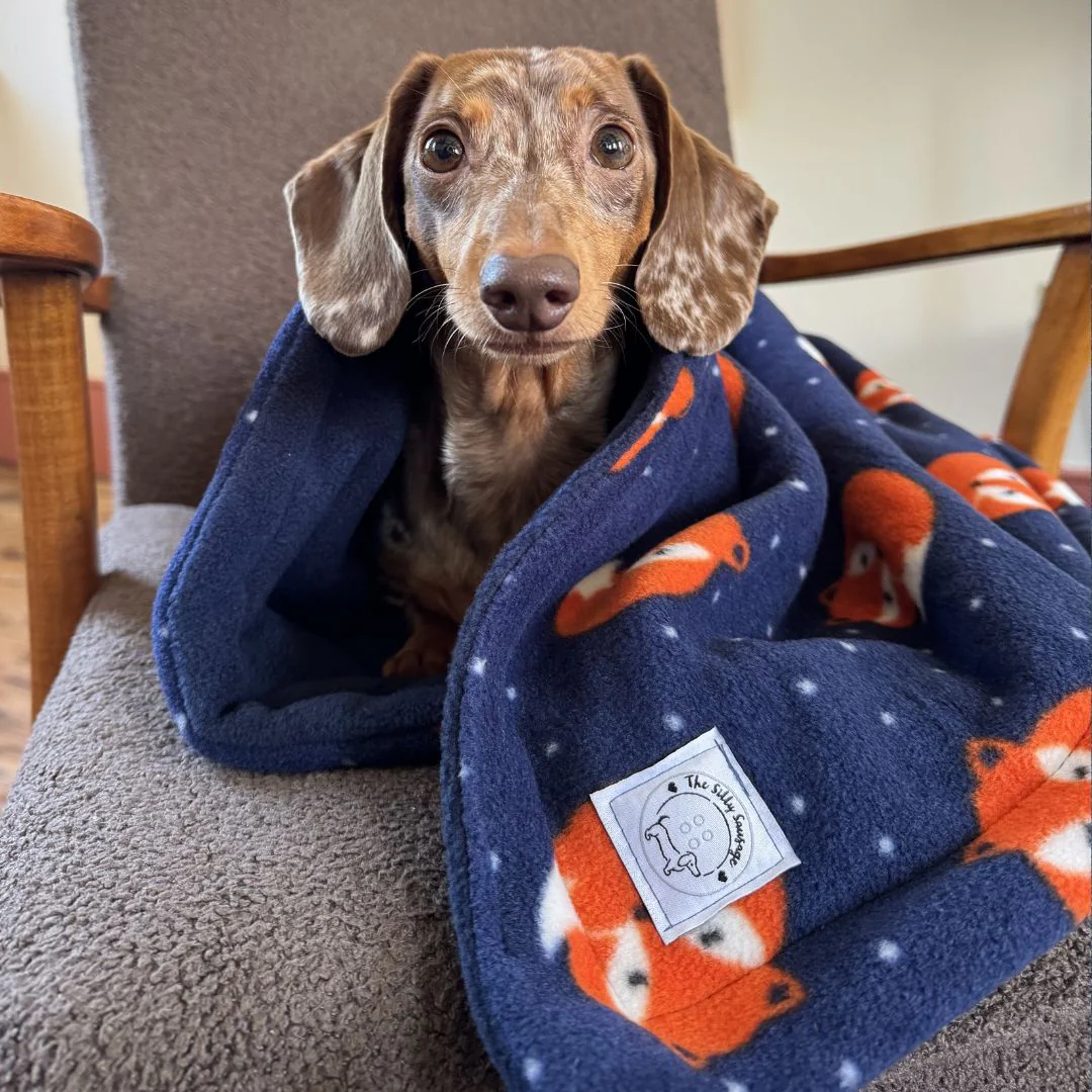 Luxury Reversible Polar Fleece Blanket - Image 6