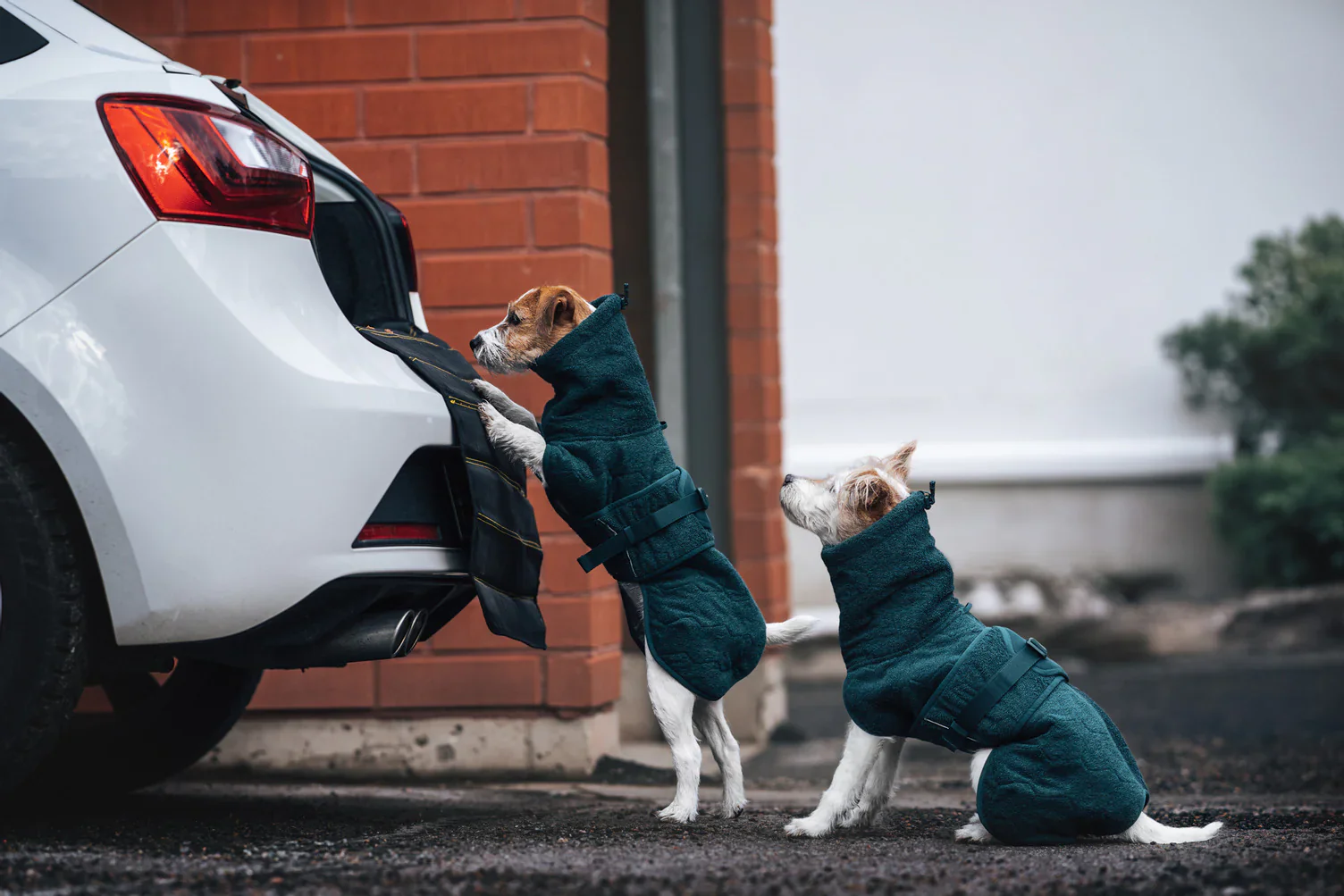 Non-Stop Dogwear Drying Coat - Image 3