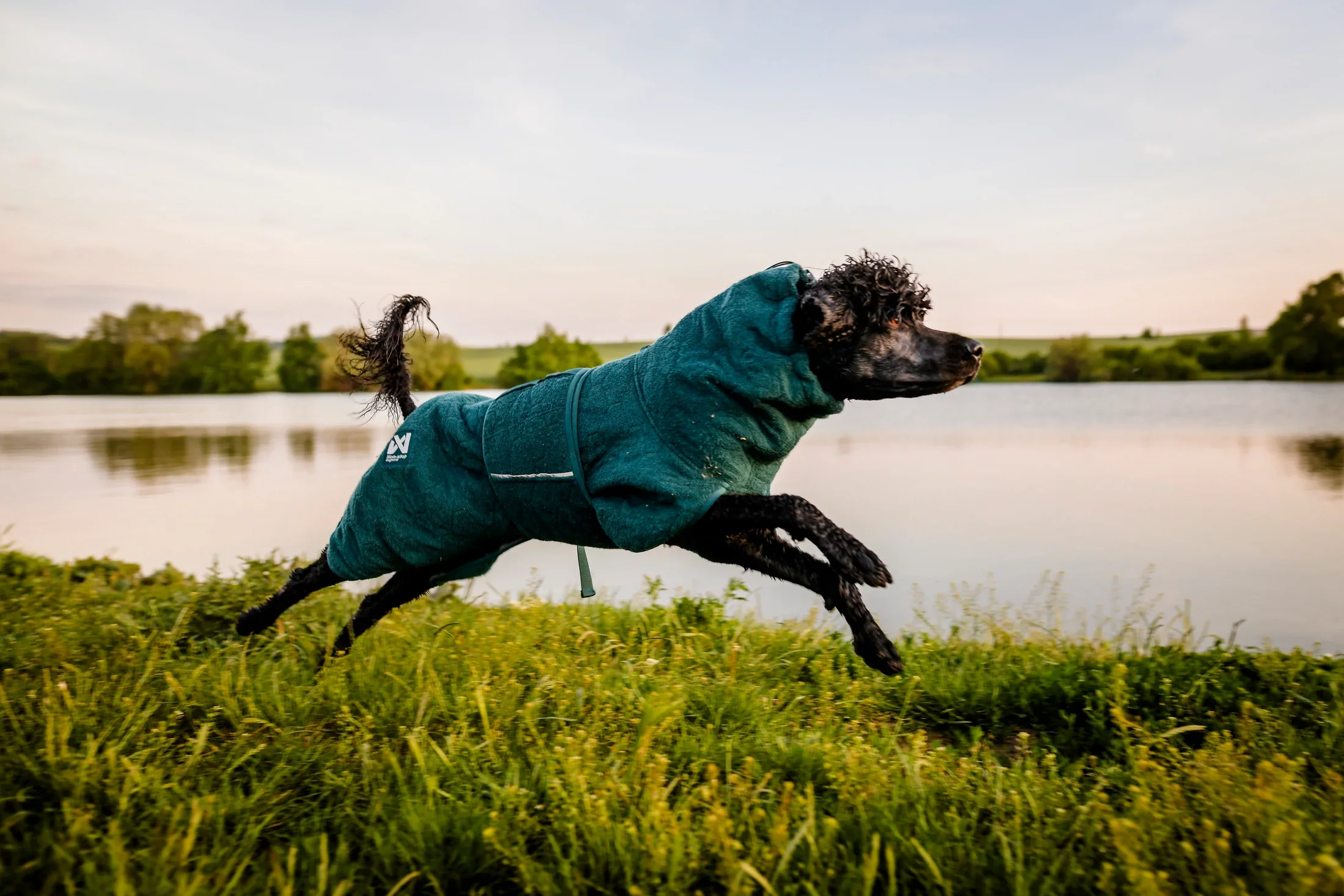 Non-Stop Dogwear Drying Coat - Image 4