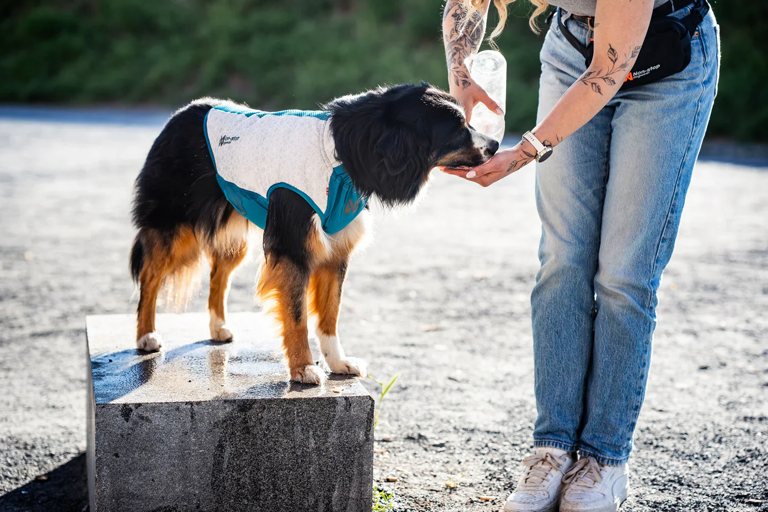 Non-Stop Dogwear Cooling Pull-on Vest - Image 4
