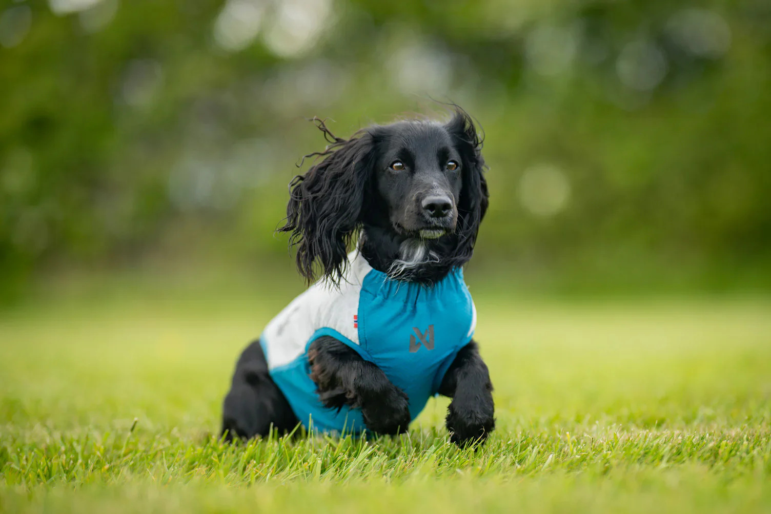 Non-Stop Dogwear Cooling Pull-on Vest - Image 6