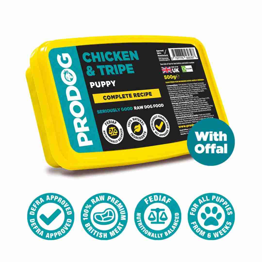 ProDog Raw Puppy Chicken & Green Tripe Complete - Image 2