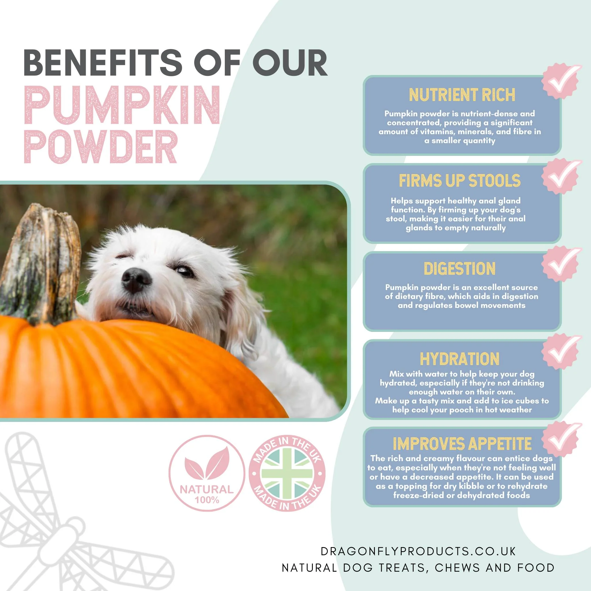 Pumpkin Powder - Image 2