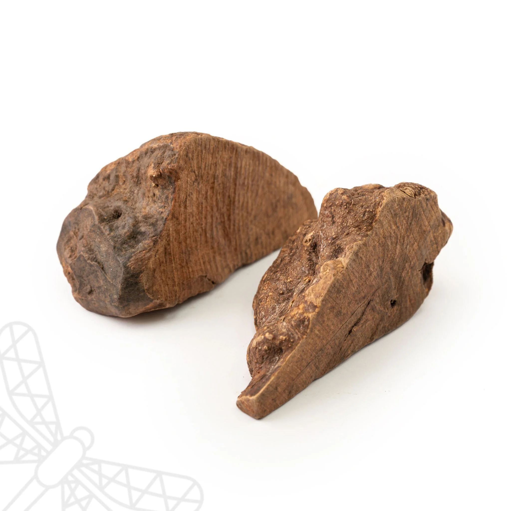 Root Chew - Image 2