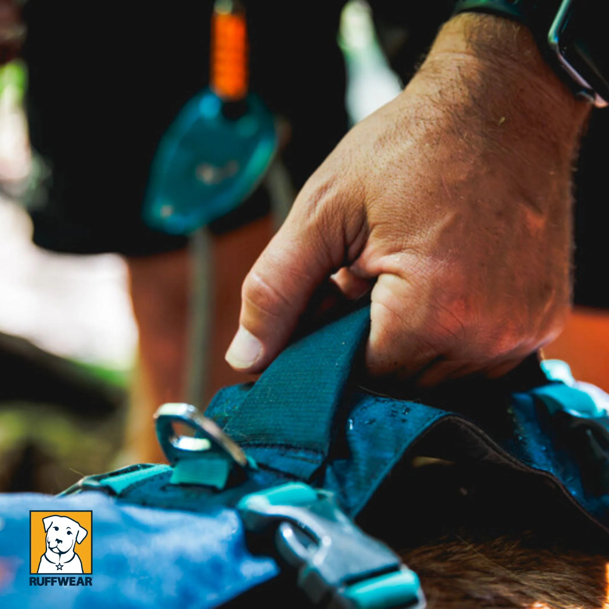 Ruffwear Flagline Harness - Image 8