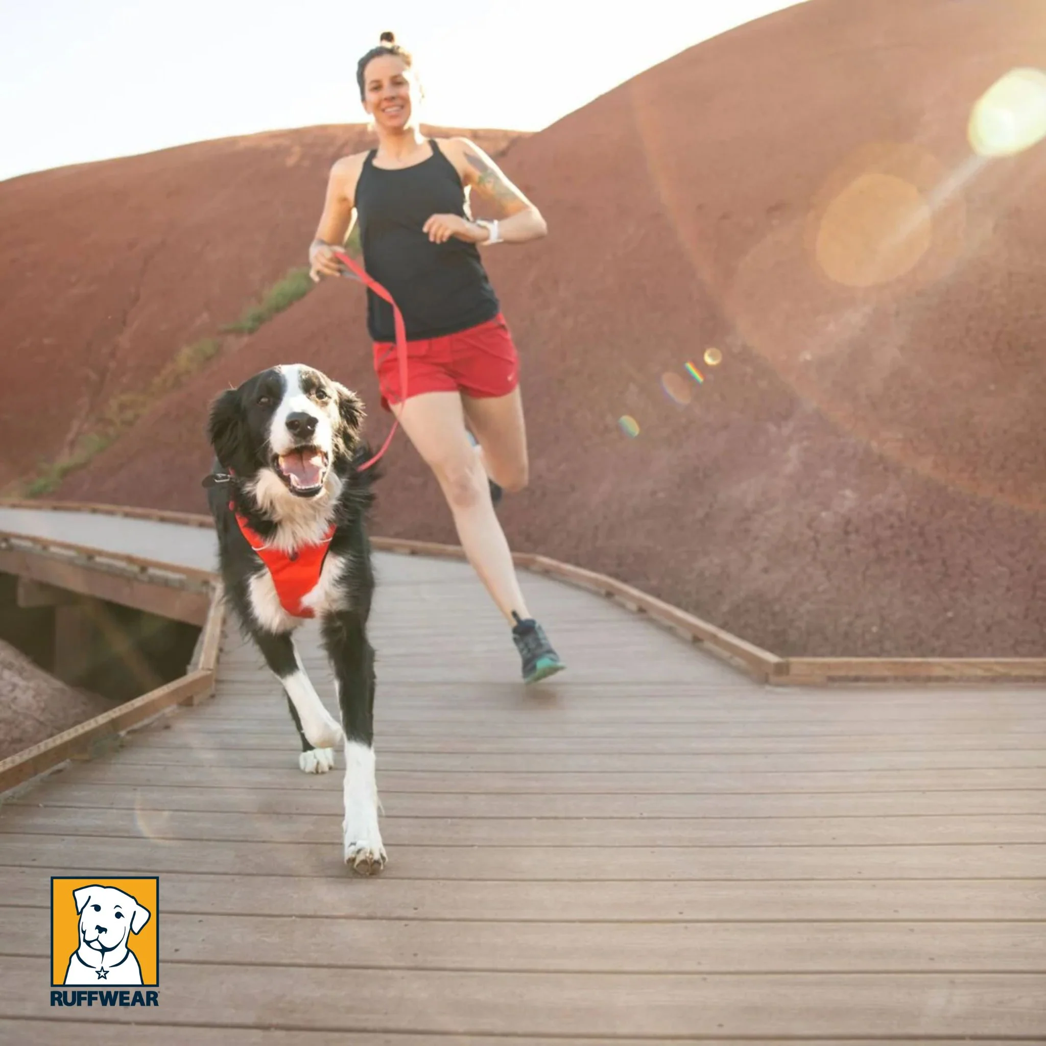 Ruffwear Front Range Lead - Image 4