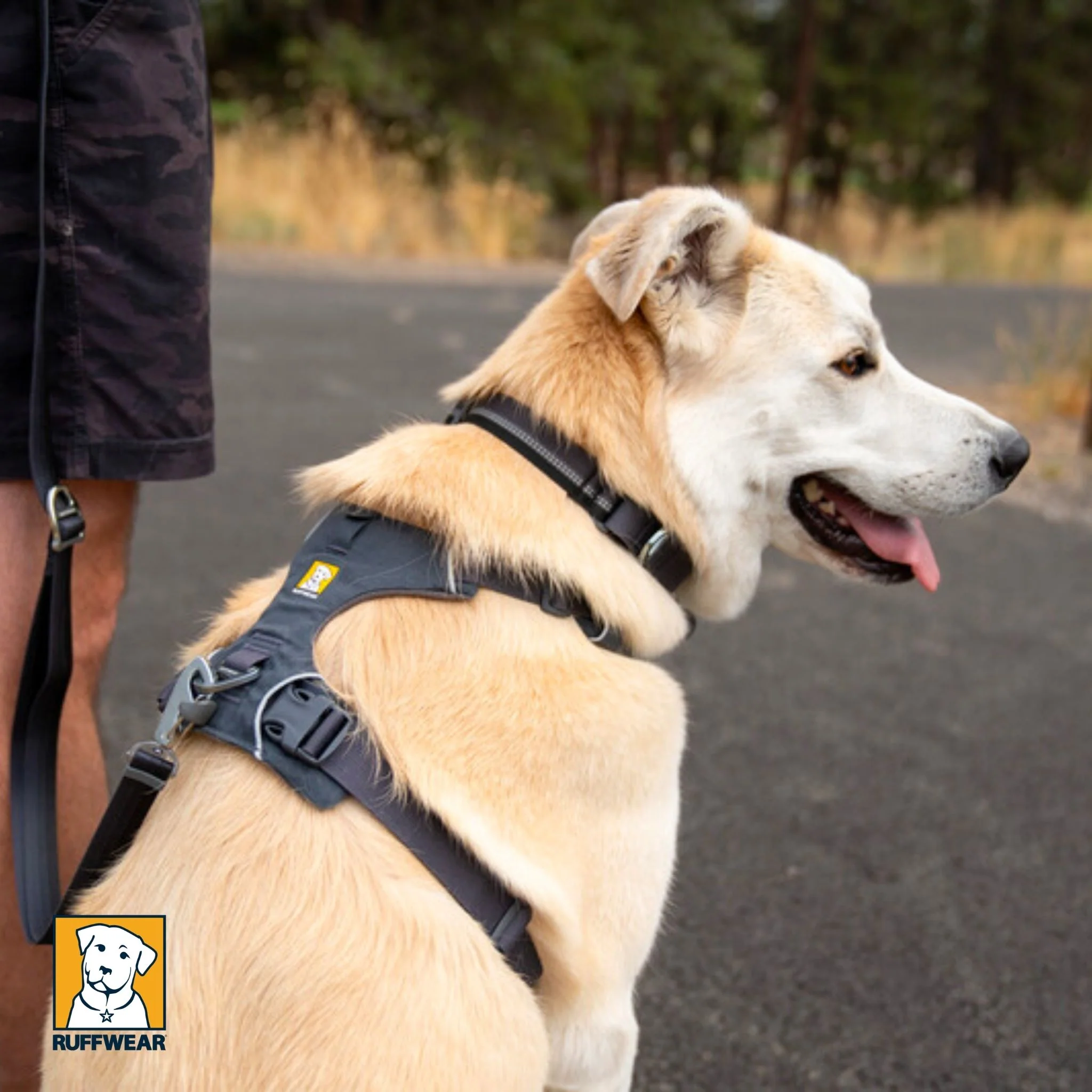 Ruffwear Front Range Harness - Image 4