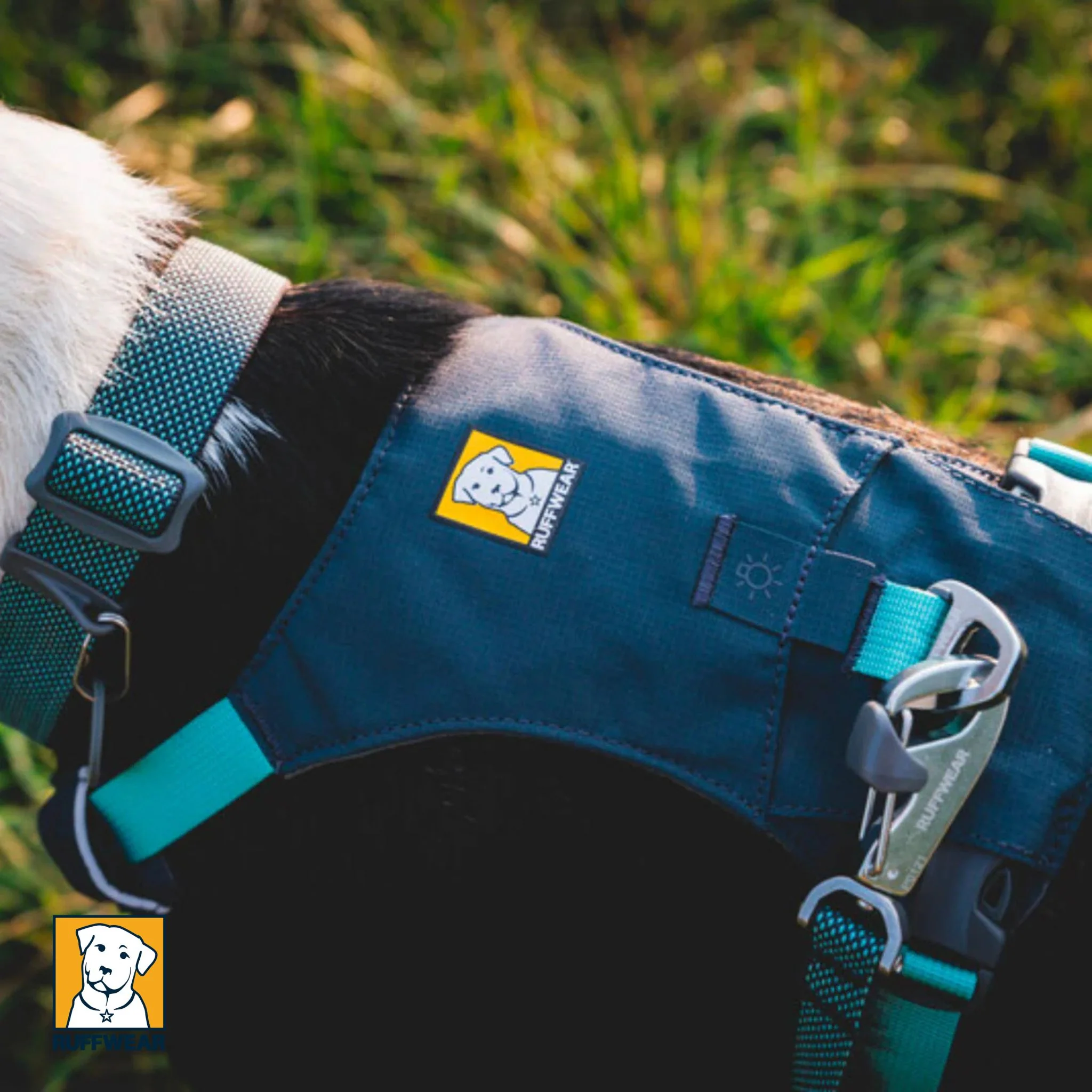 Ruffwear Hi & Light Harness - Image 7
